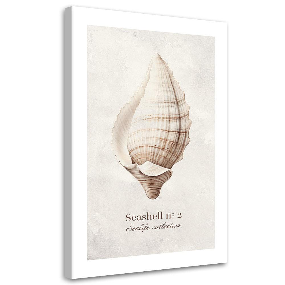 Canvasbillede, Muslingeskal på naturlig baggrund