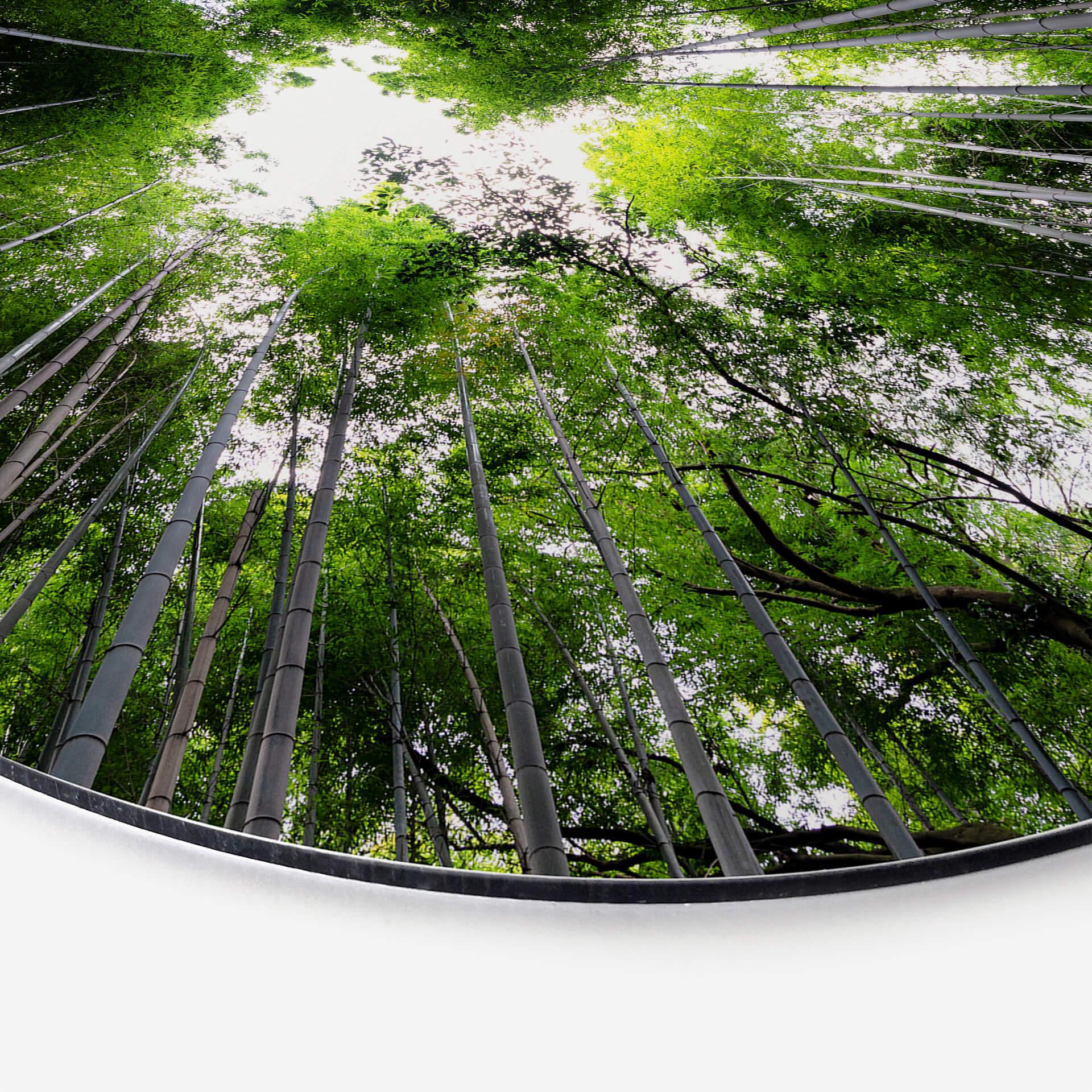 Wandcirkel Japanese Forest