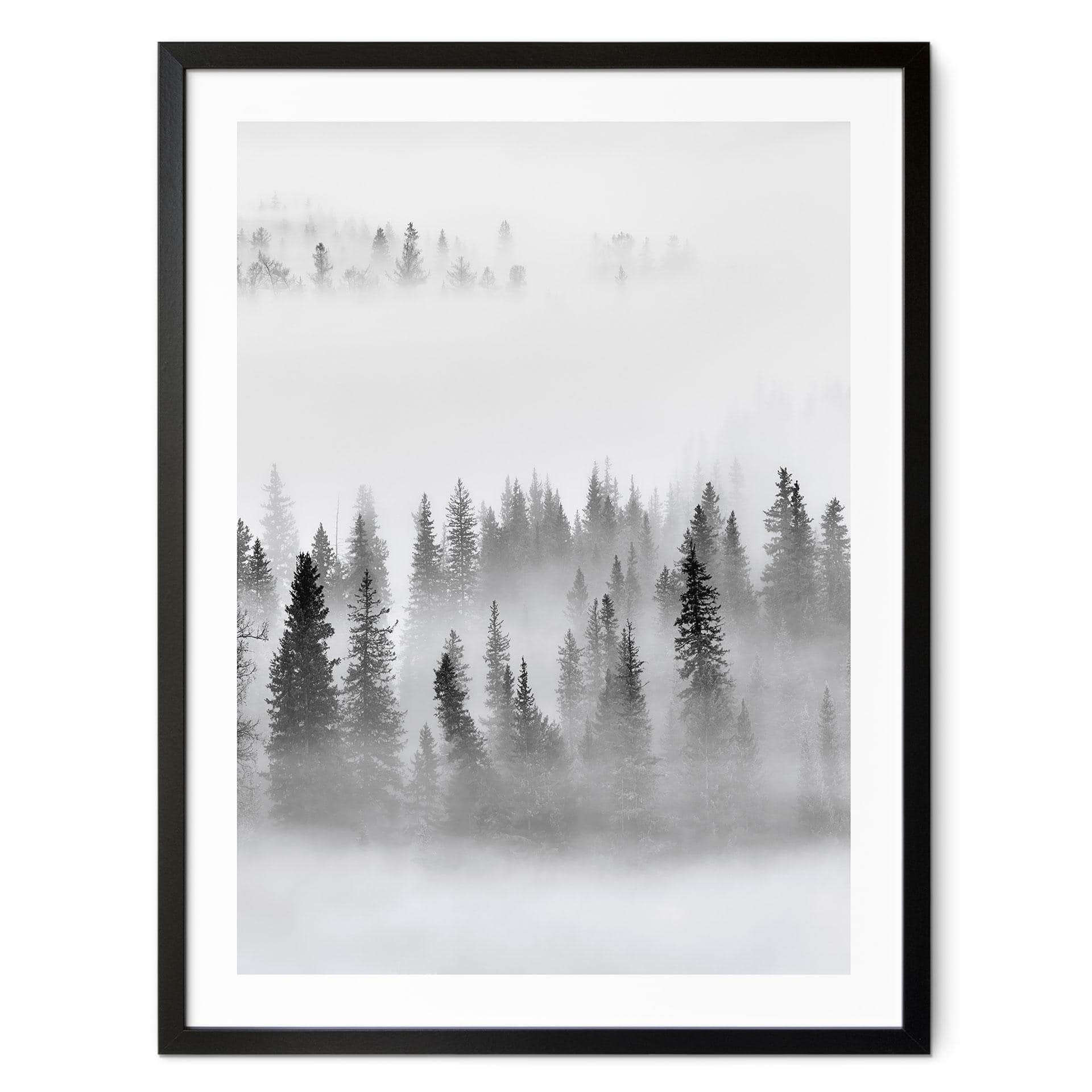 Plakat Xu - Foggy Forest