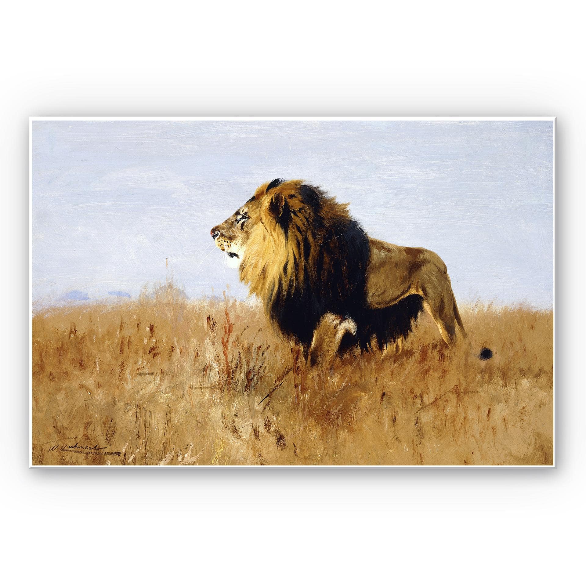 Tableau Forex - Kuhnert - Lion à la recherche d'une proie
