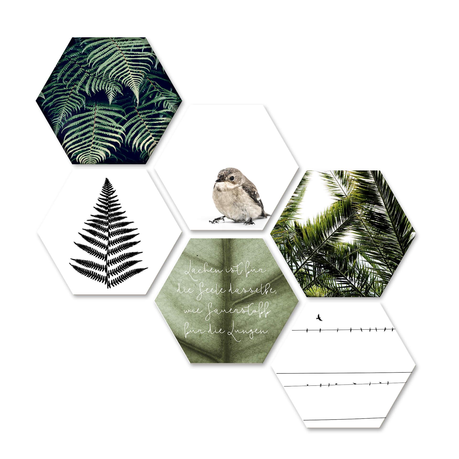 Hexagon - Alu-Dibond - Natürliche Vielfalt (6-teilig)