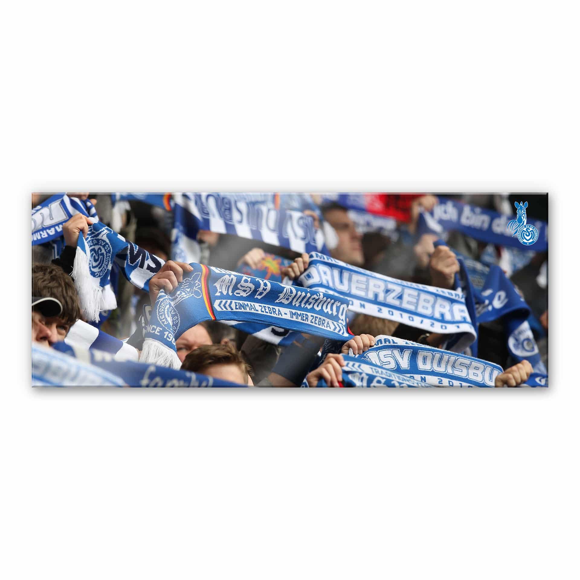 Akrylbillede MSV Duisburg fan-tørklæde  - 120x50 cm