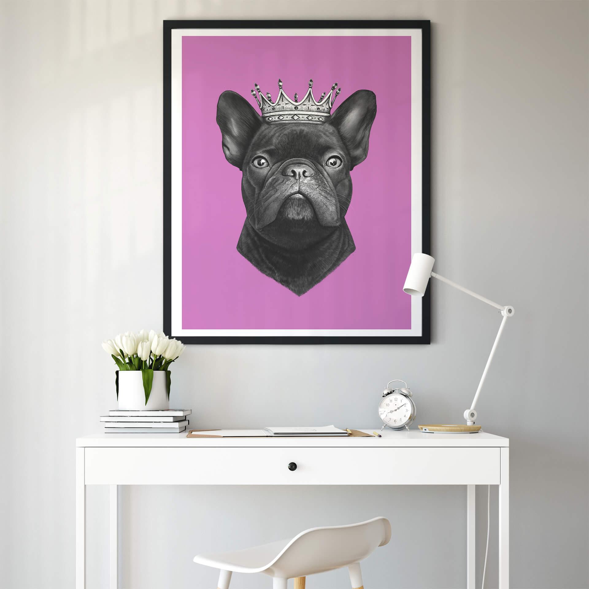 Plakat - Korenkova - King French Bulldog Pink