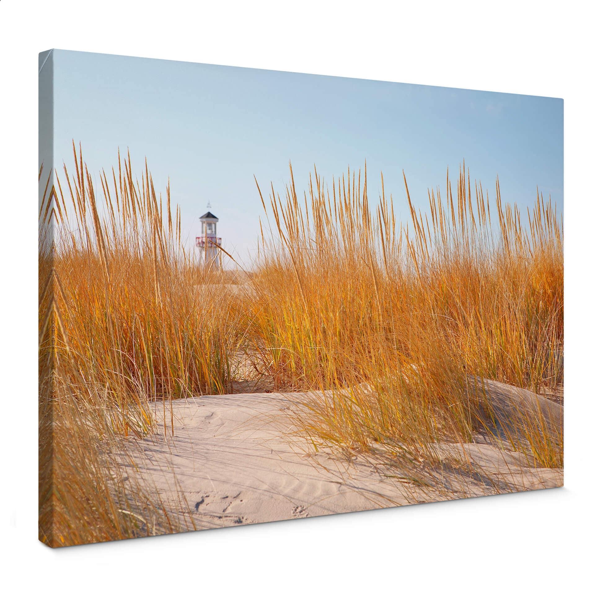 Lienzo Faro en un campo de playa