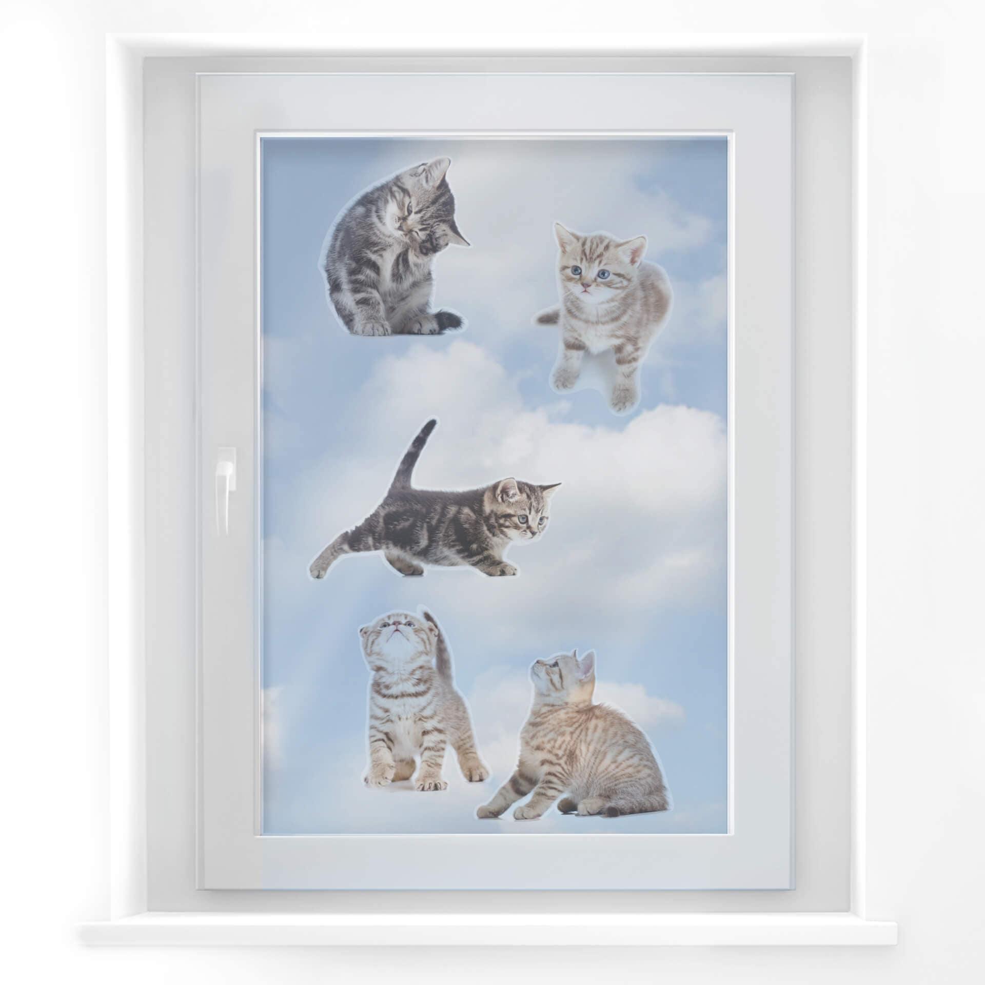 Cuadro de ventana Gatos bebé reales Set 03