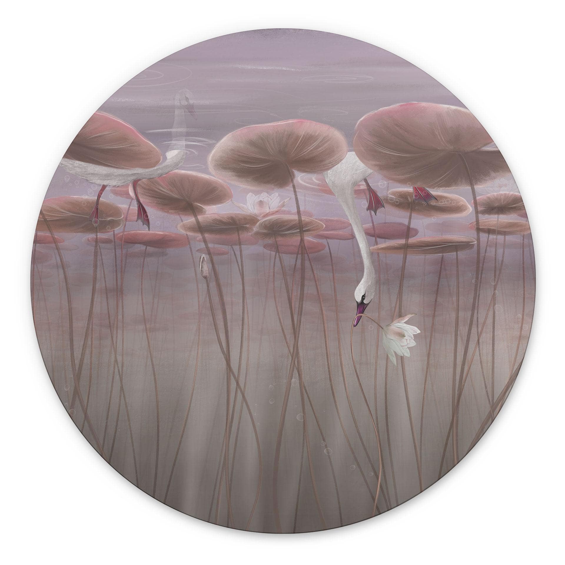 Wanddecoratie lotusbloemen met zwaan in water in schemerroze - Ms Tiff - Alu-Dibond Rond