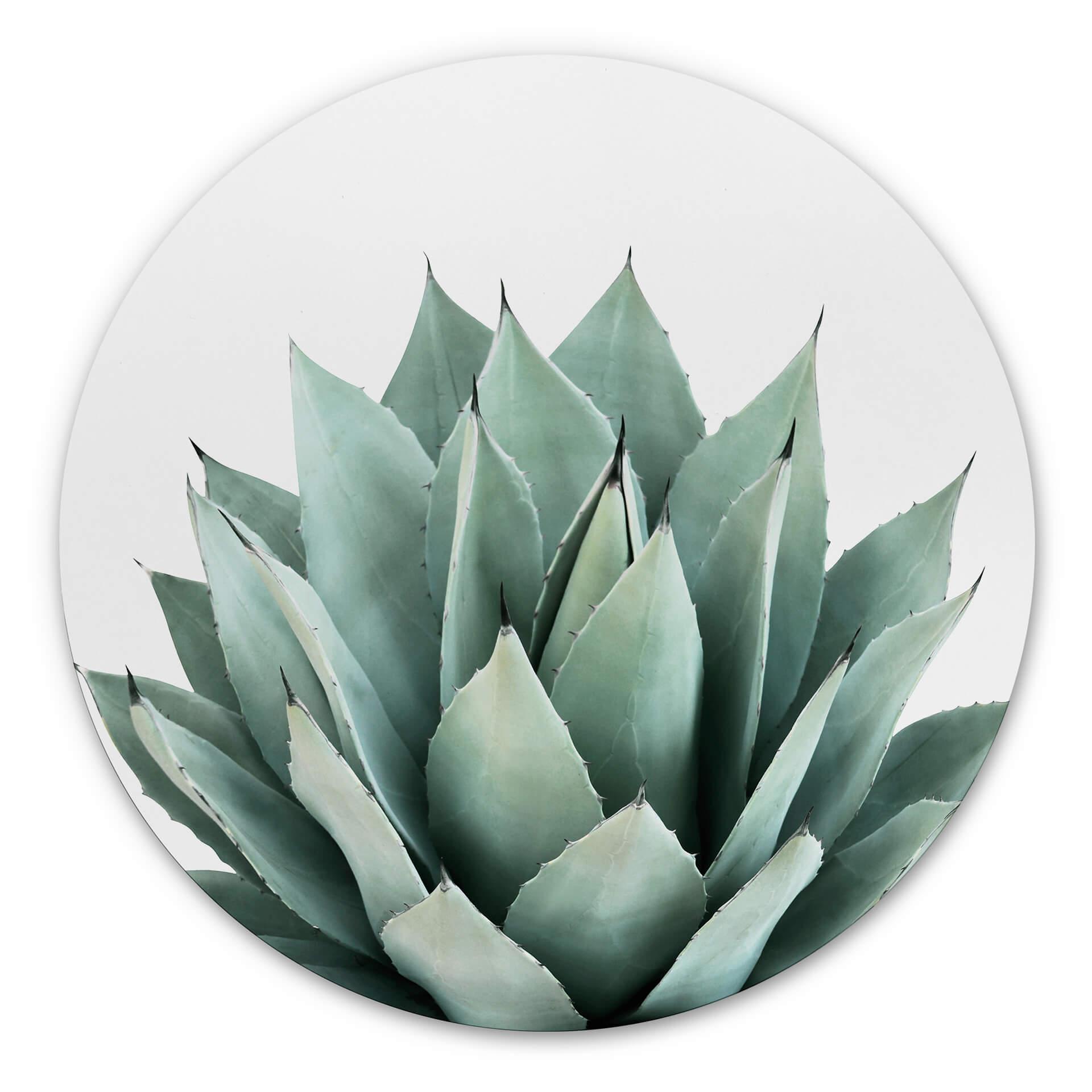Wandcirkel Sisi & Seb - Succulents
