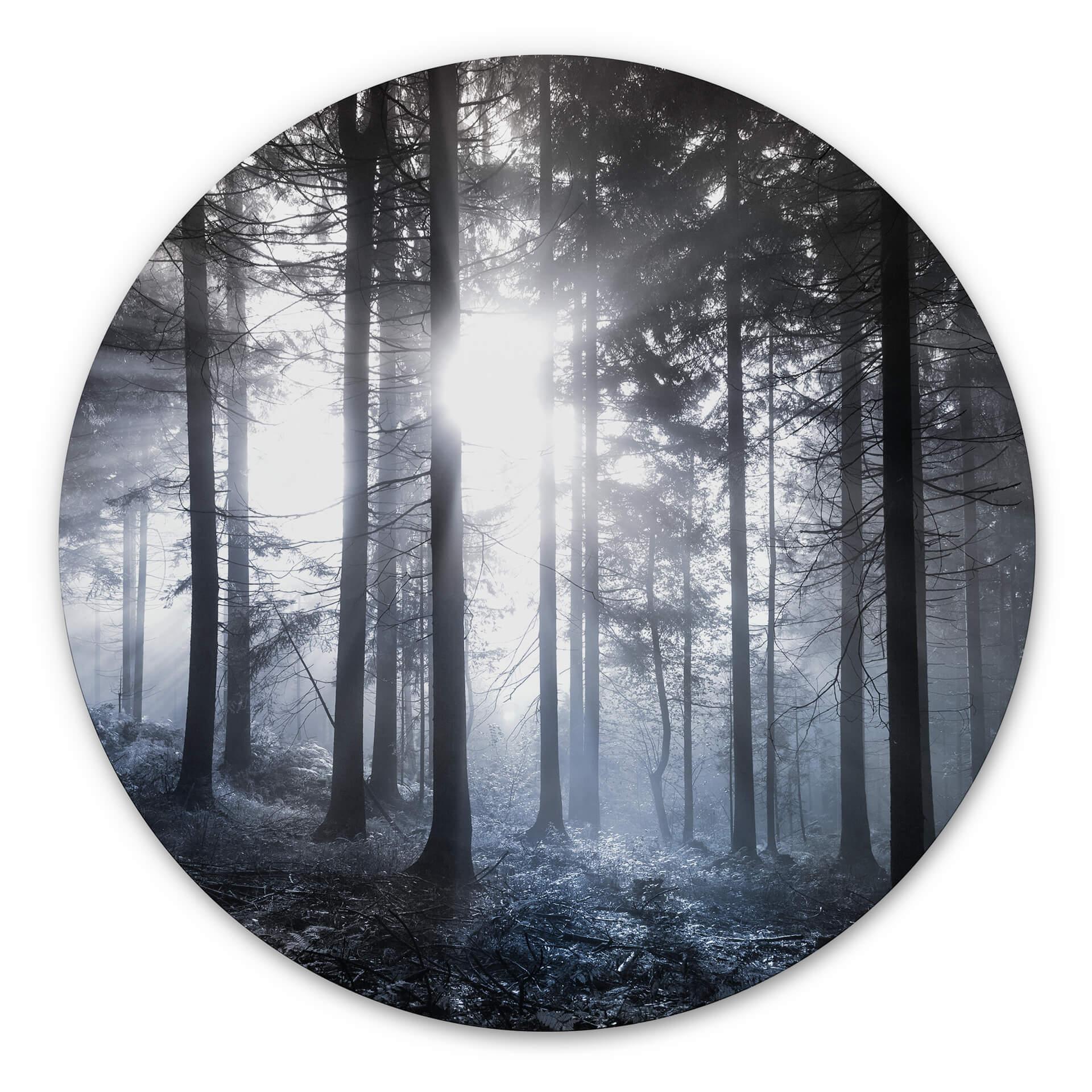 Tableau en alu-Dibond Rayons de soleil dans la forêt bleue - Rond