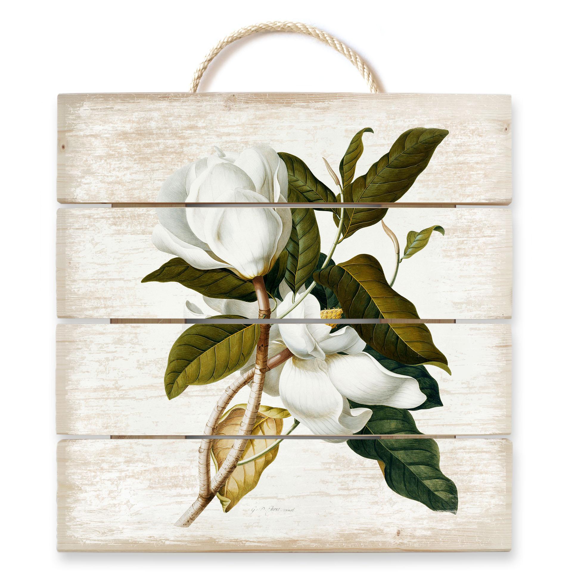 Cuadro de madera Ehret - Magnolia - 40x41,5 cm
