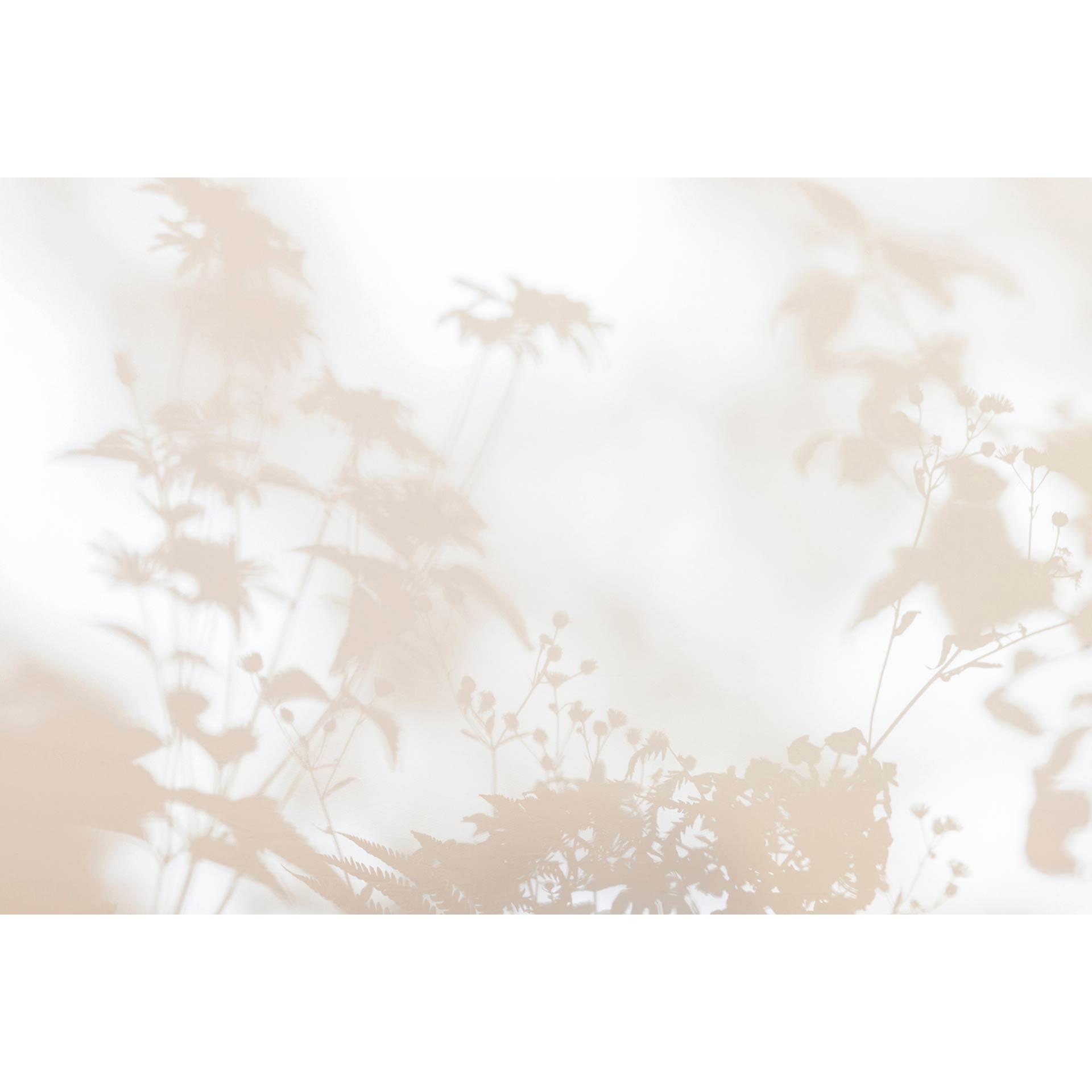 Livingwalls Fotobehang Walls by Patel 3 Shadow Room