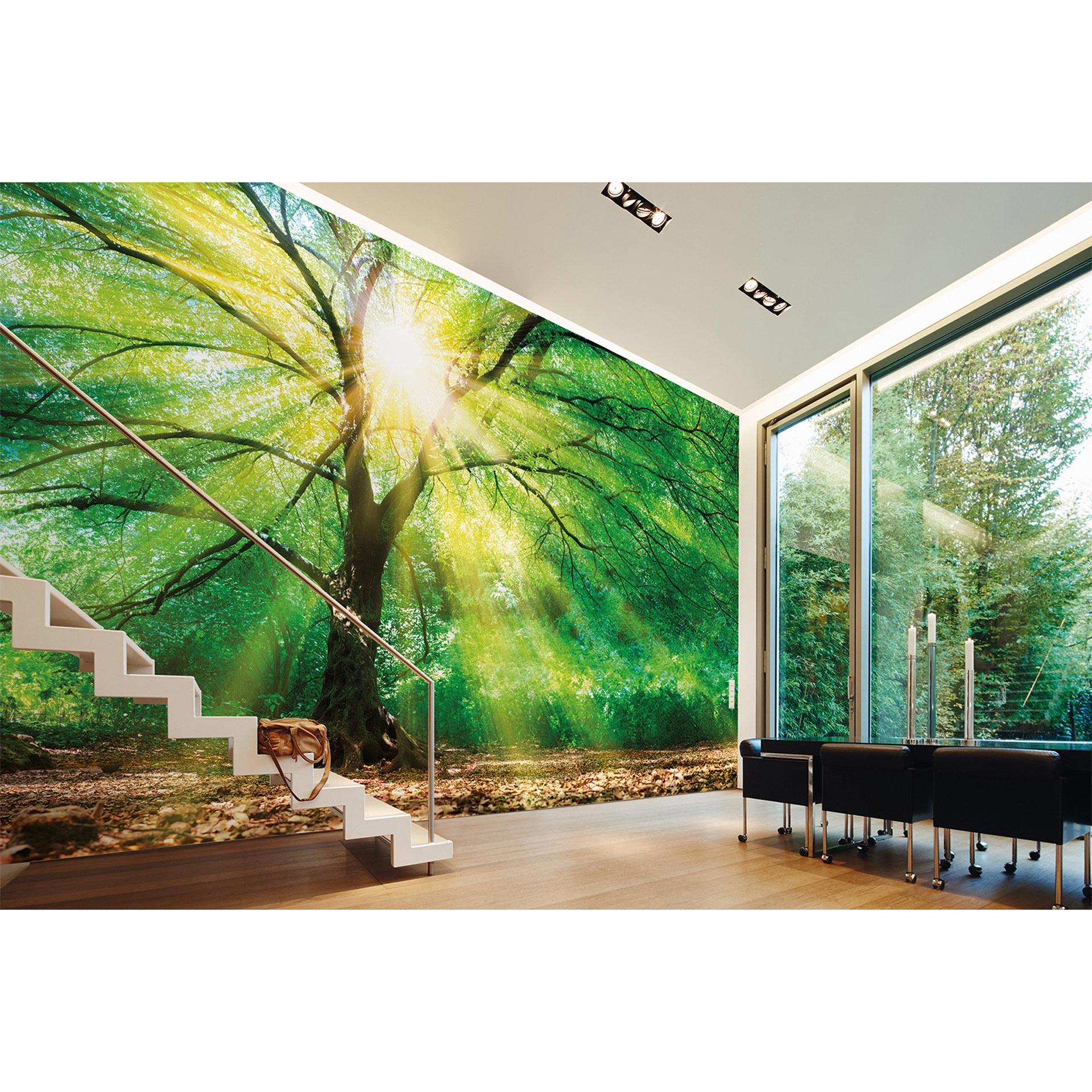 non-woven tapet ForestLight træ fototapet Designwalls i grøn og brun