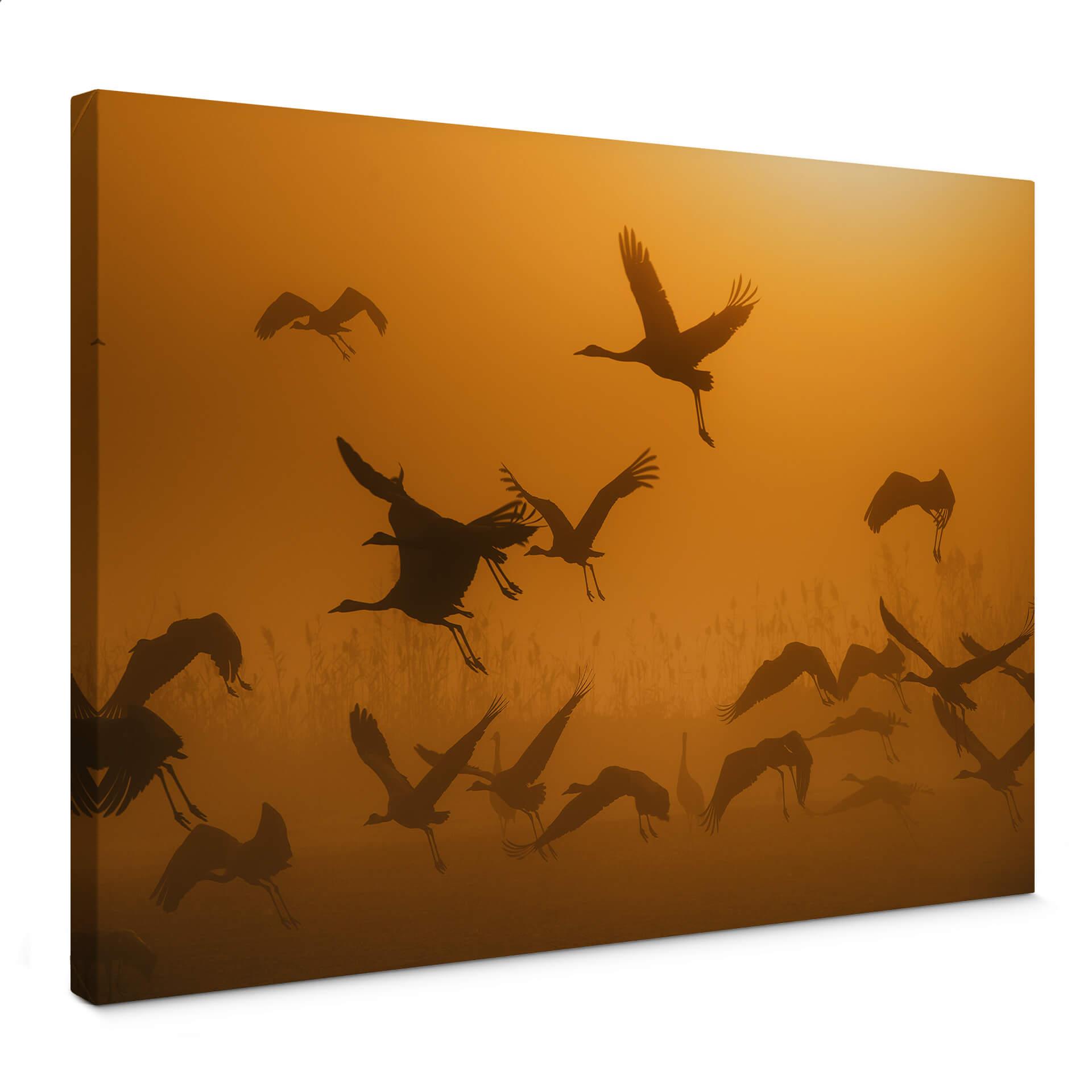 Lienzo Rosenblatt - Bandada de pájaros al amanecer
