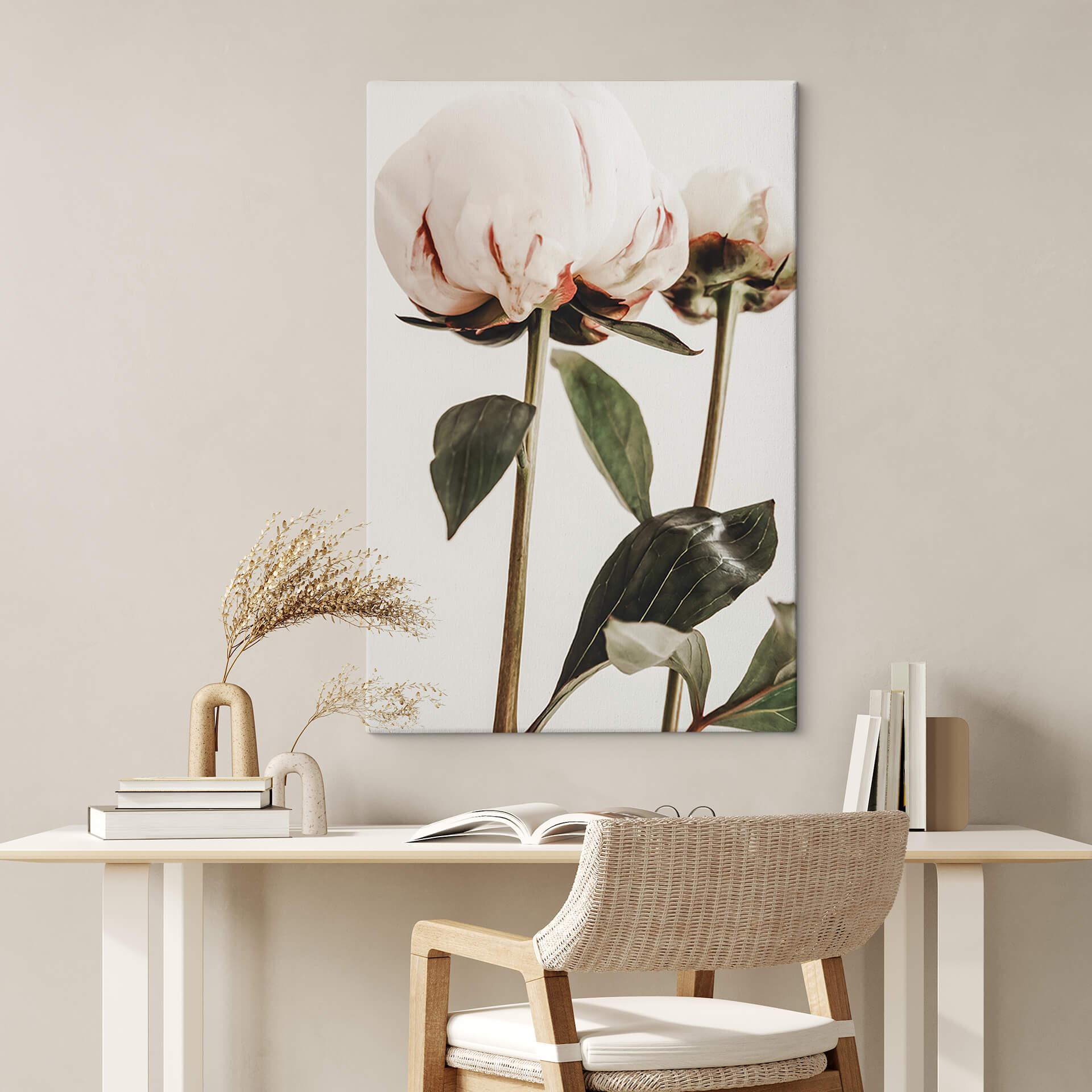 Lienzo 1X Estudio - Peonias
