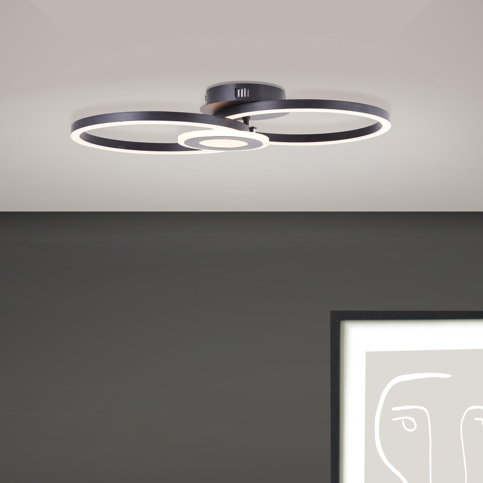 Deckenleuchte Chloe, schwarz, 52 x 30 cm, Metall LED-Deckenleuchte, dimmbar