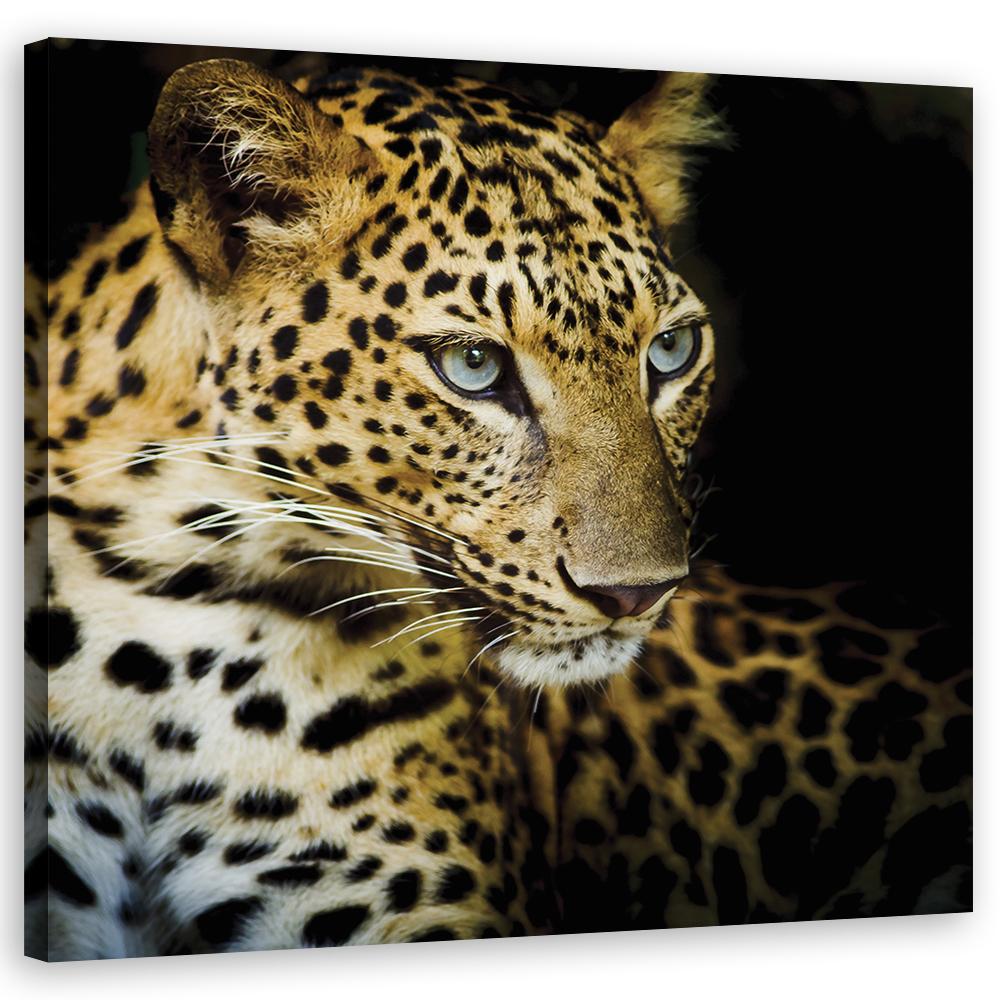 Canvasbillede, Majestætisk leopard