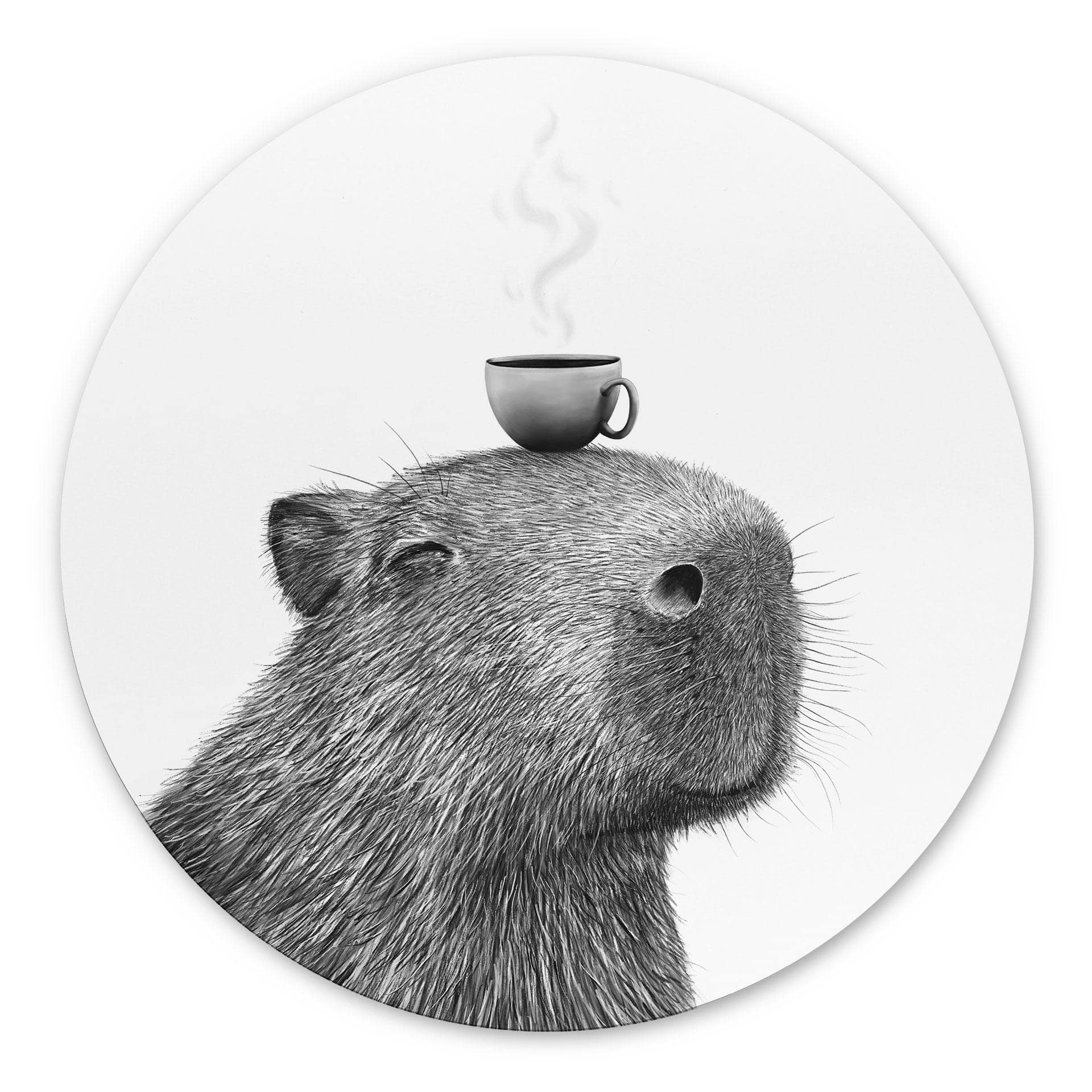 Tableaux Capybara Matin Café - Korenkova - Alu-Dibond Rond
