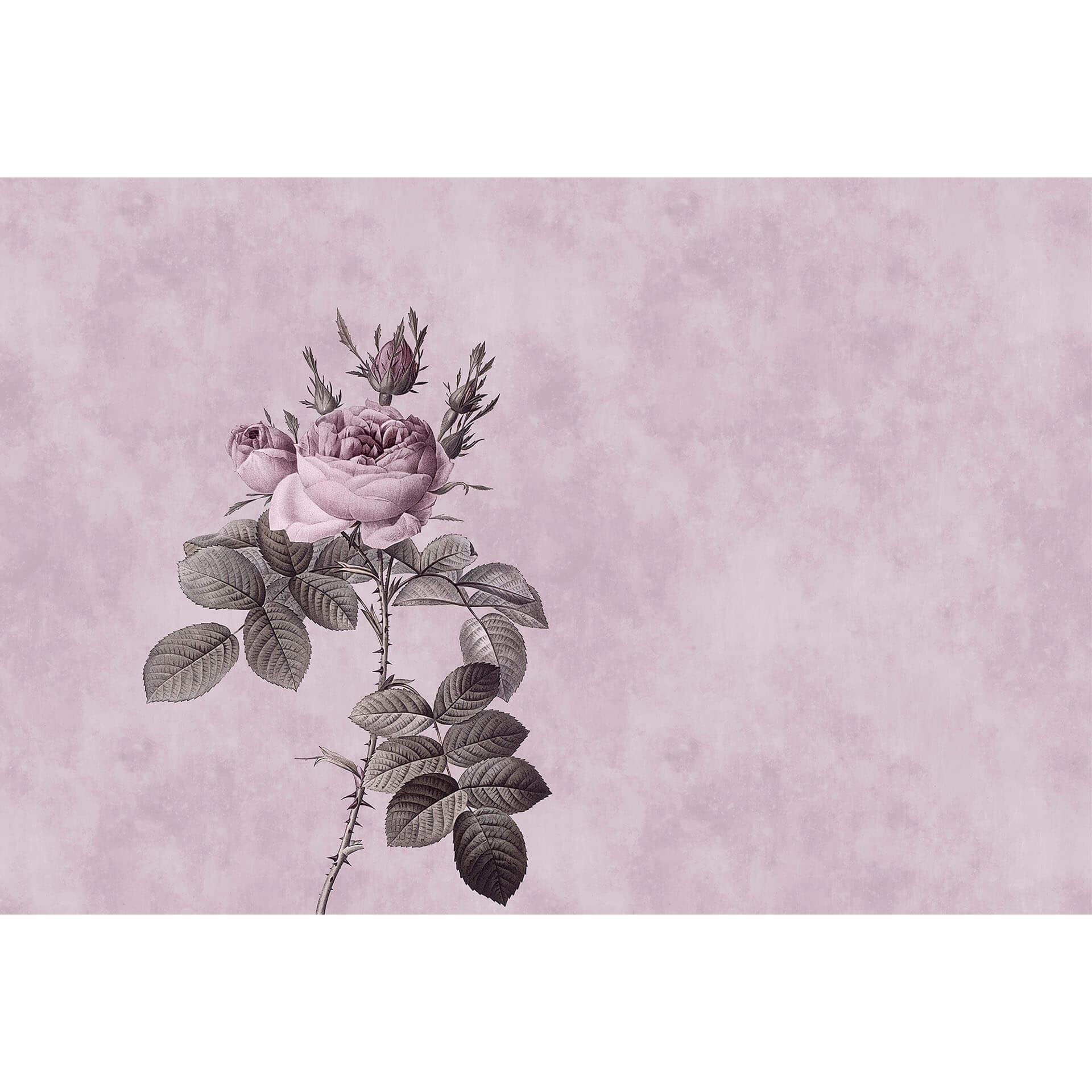 Livingwalls Fotobehang Walls by Patel rose 1