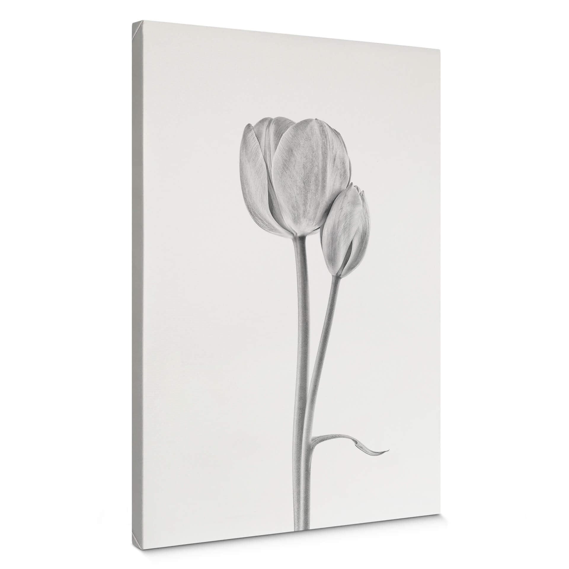 Canvasbillede - Grønkjær - Tulipaner