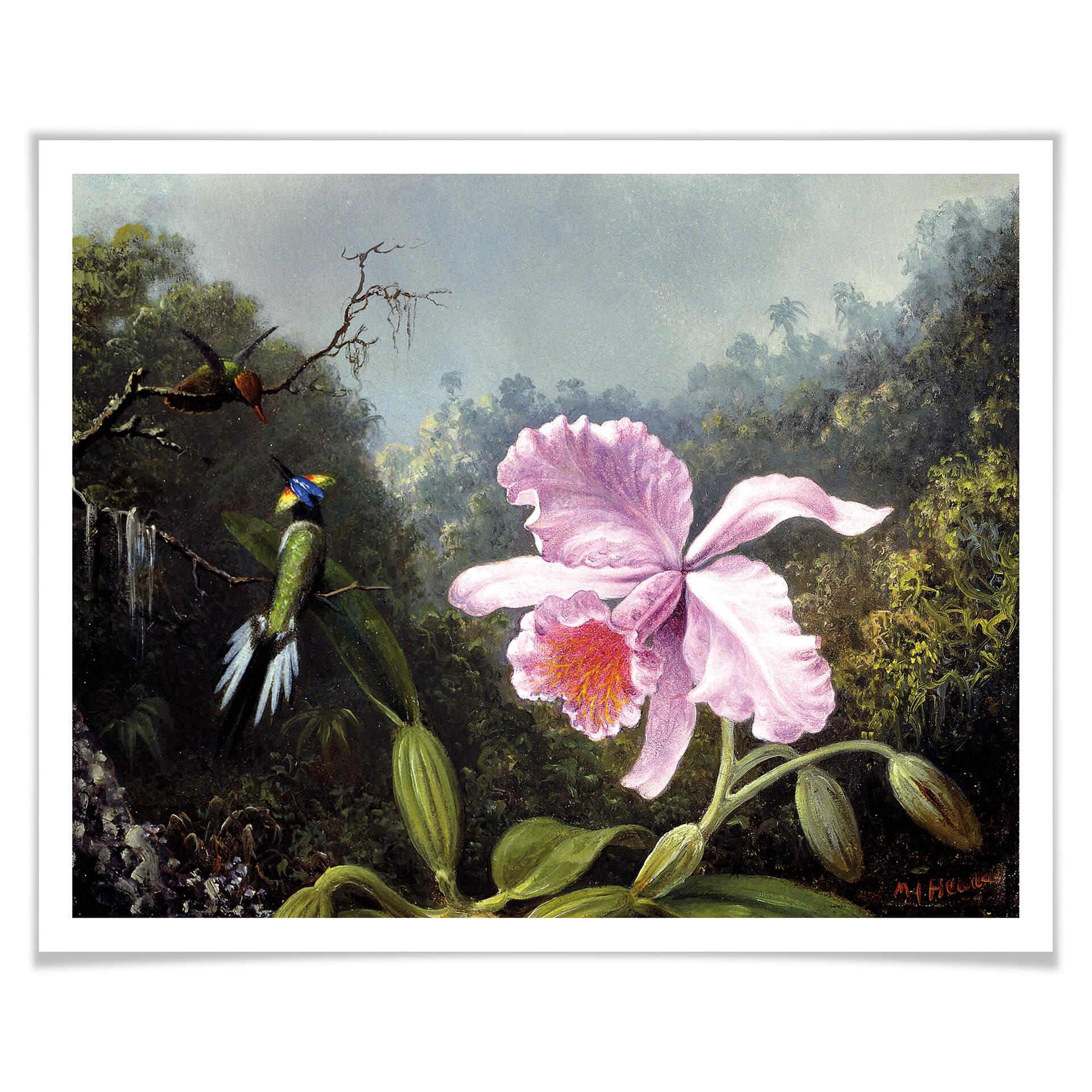 Plakat Heade - Martwa natura z orchideą i kolibrami