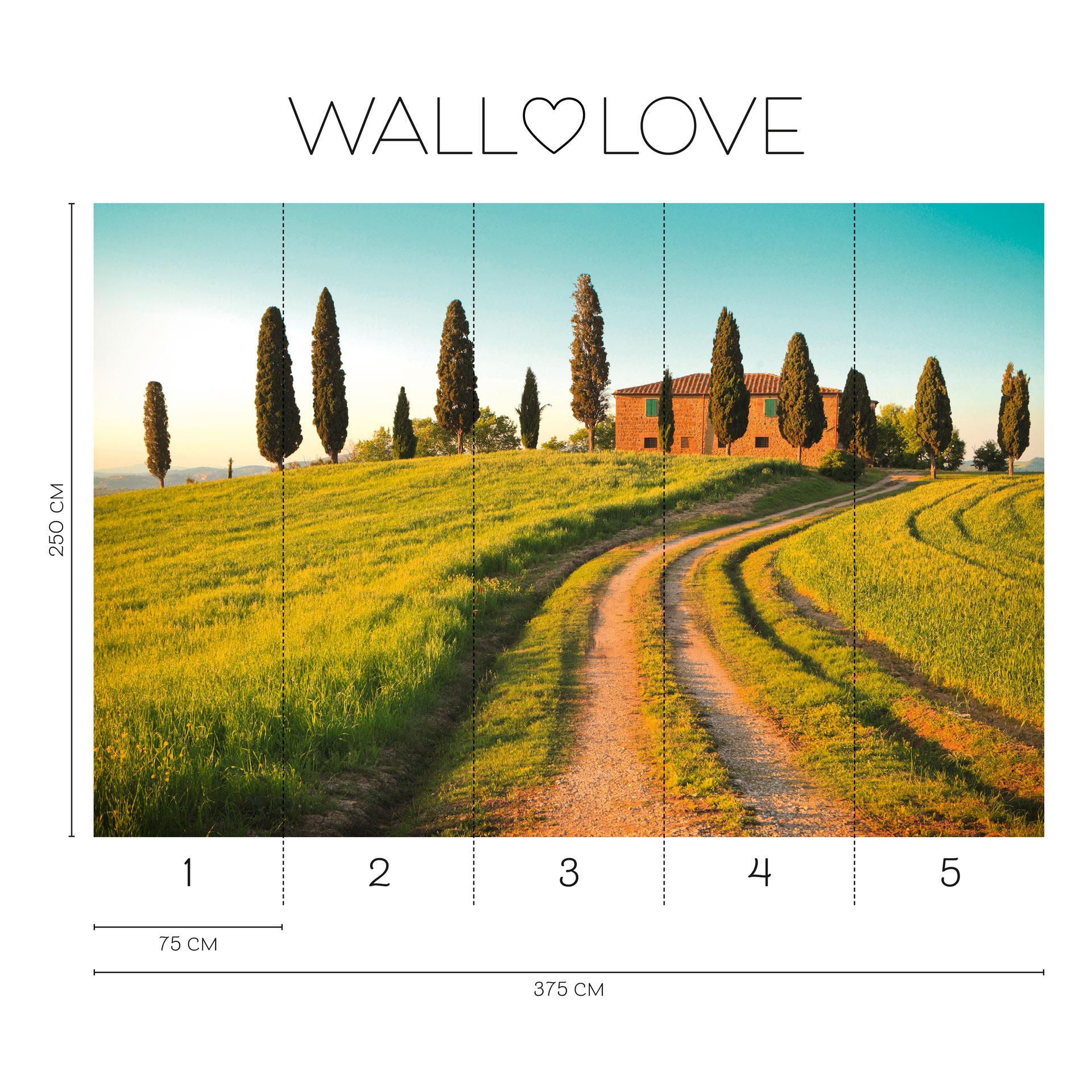 Fotobehang cipressen huis - Vliesbehang 3,75 m x 2,50 m landschap Italië