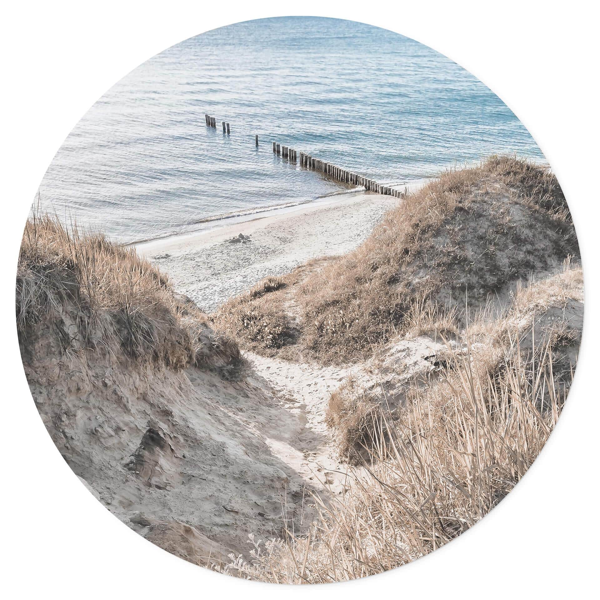 Vinilo decorativo sobre las pintorescas dunas del Mar Báltico - Redondo