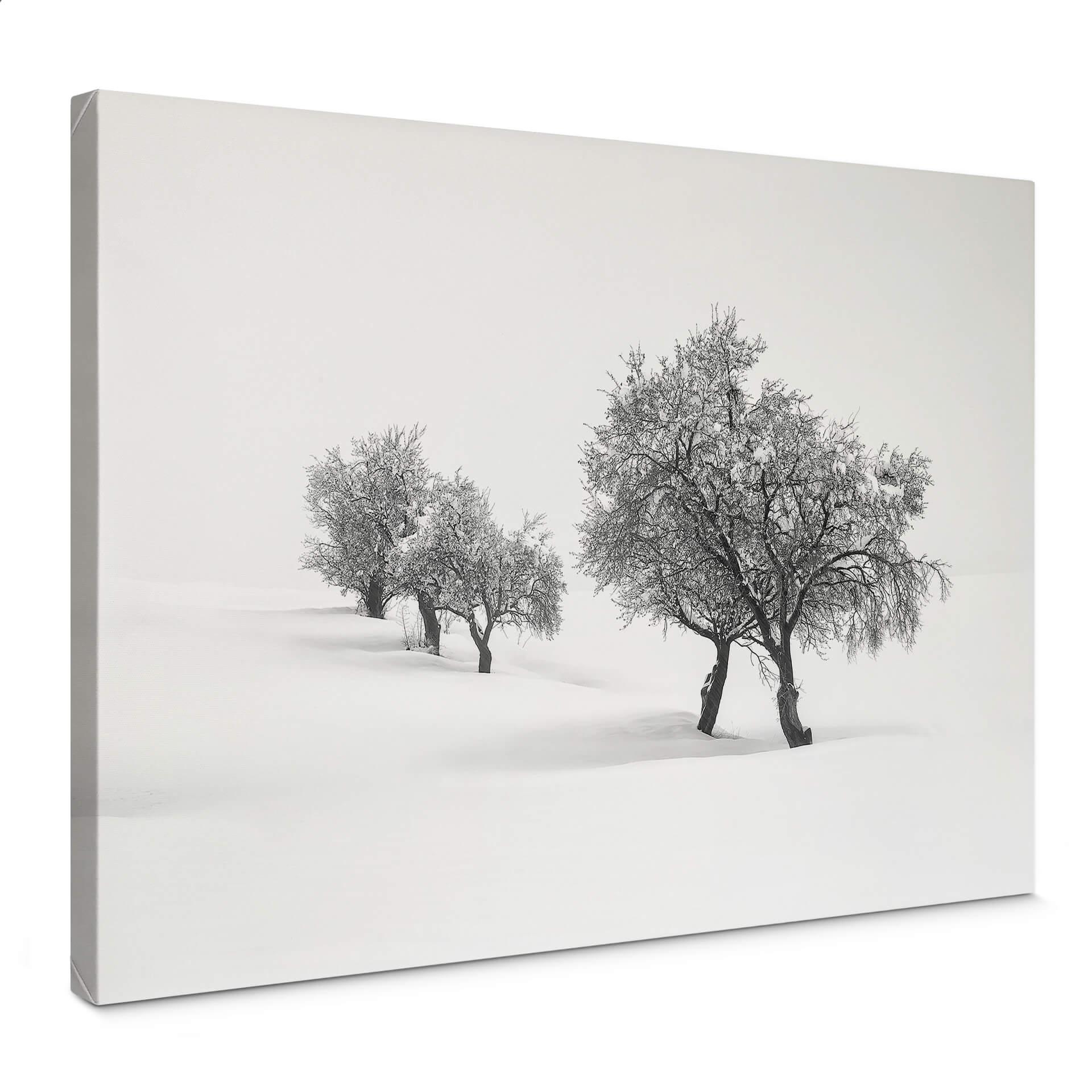Lienzo Carrillo Lopez - Paisaje blanco