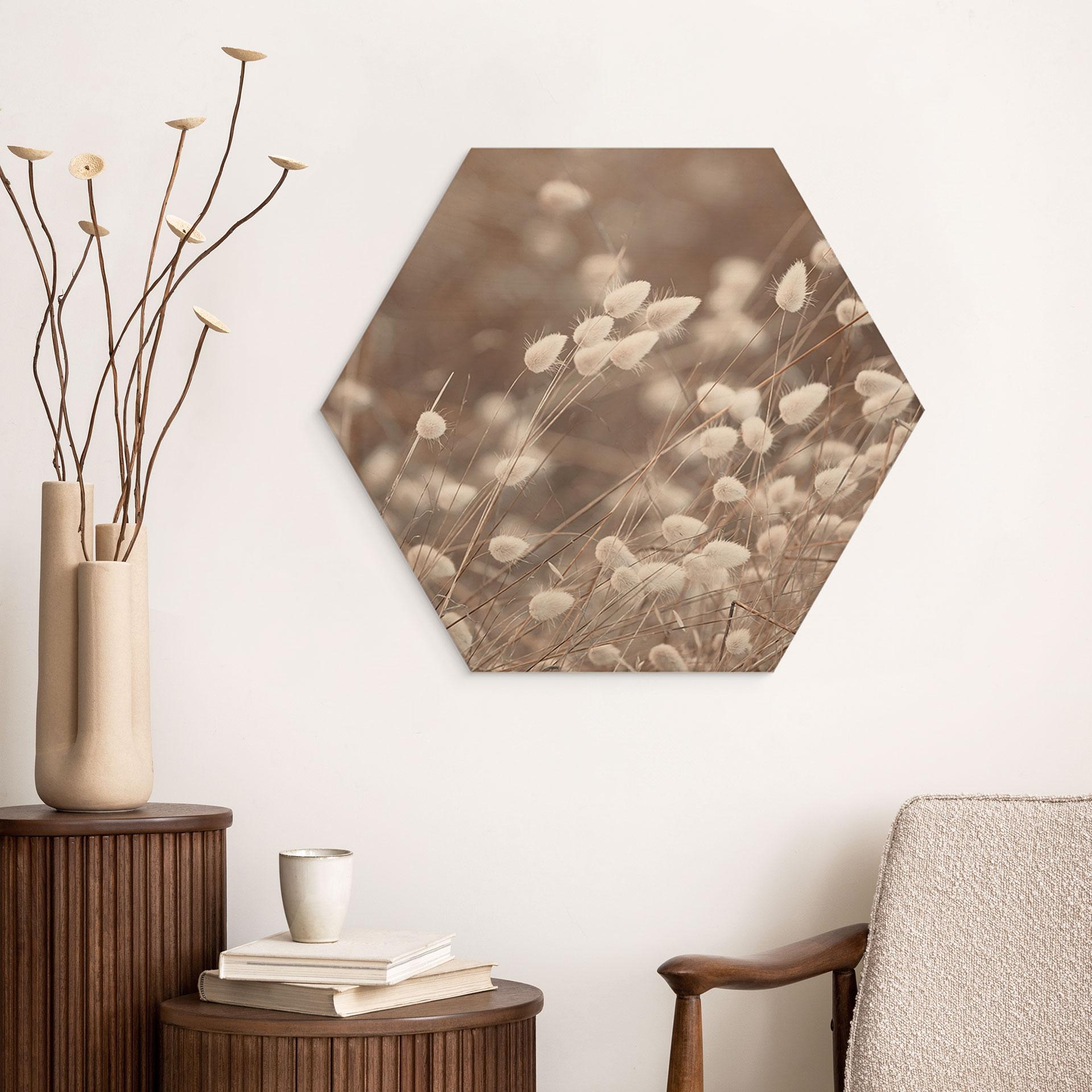 Hexagon Holzbild Zarte Gräser im Herbstlicht - Collins