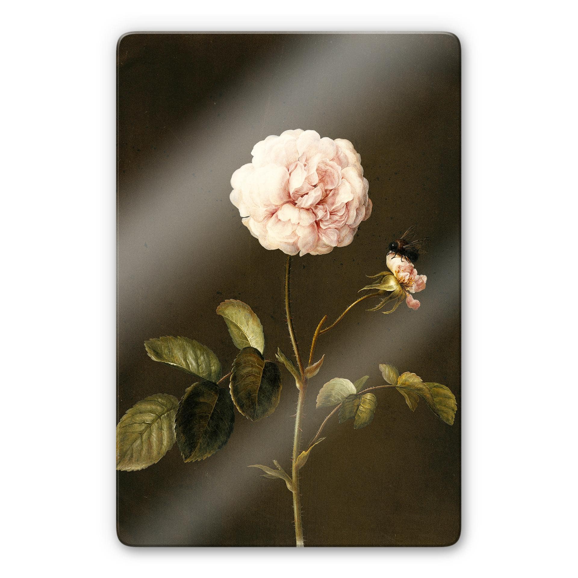 Tableau - Dietzsch - Rose gallica et bourdon