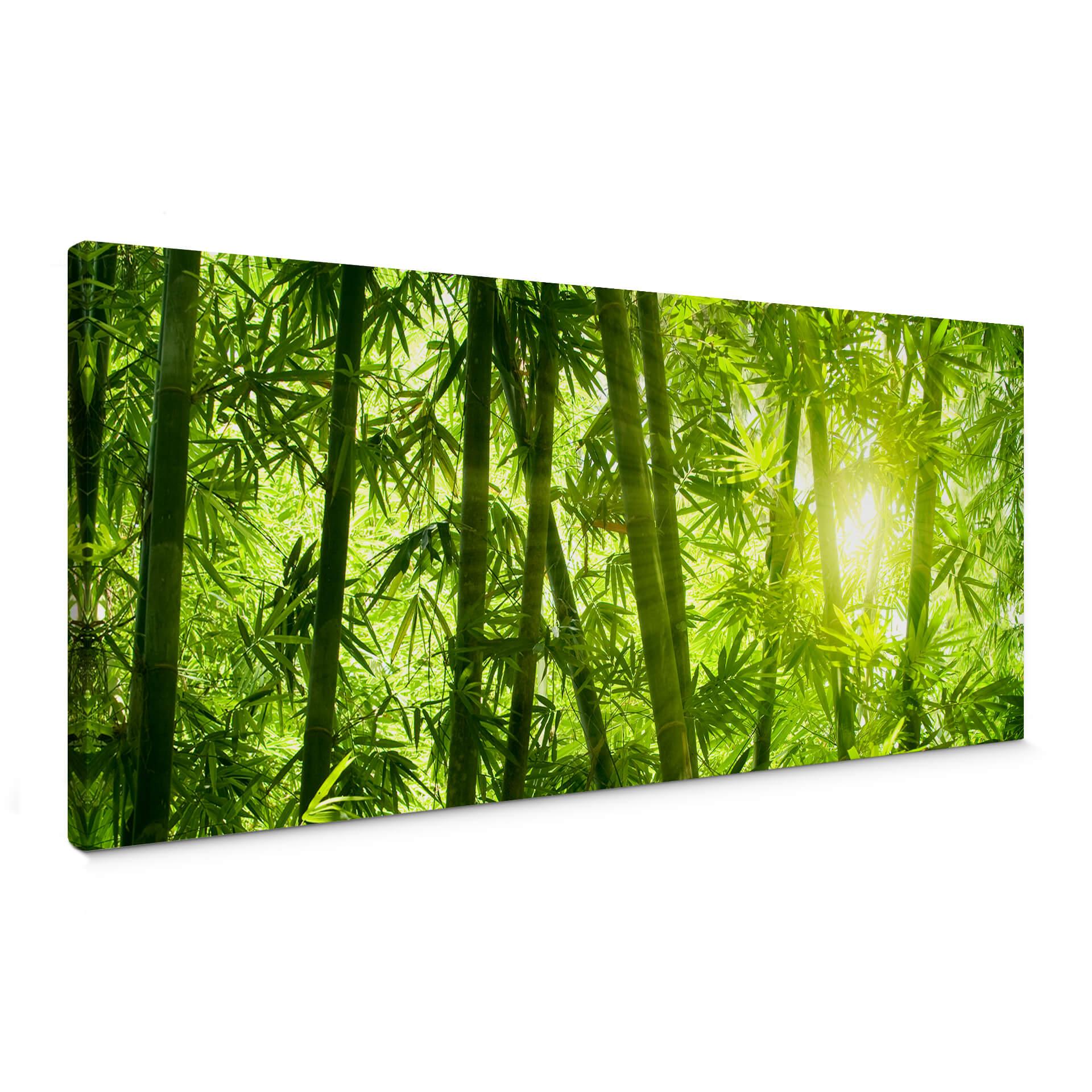 Lienzo Sol en un bosque de bambú - Panorama