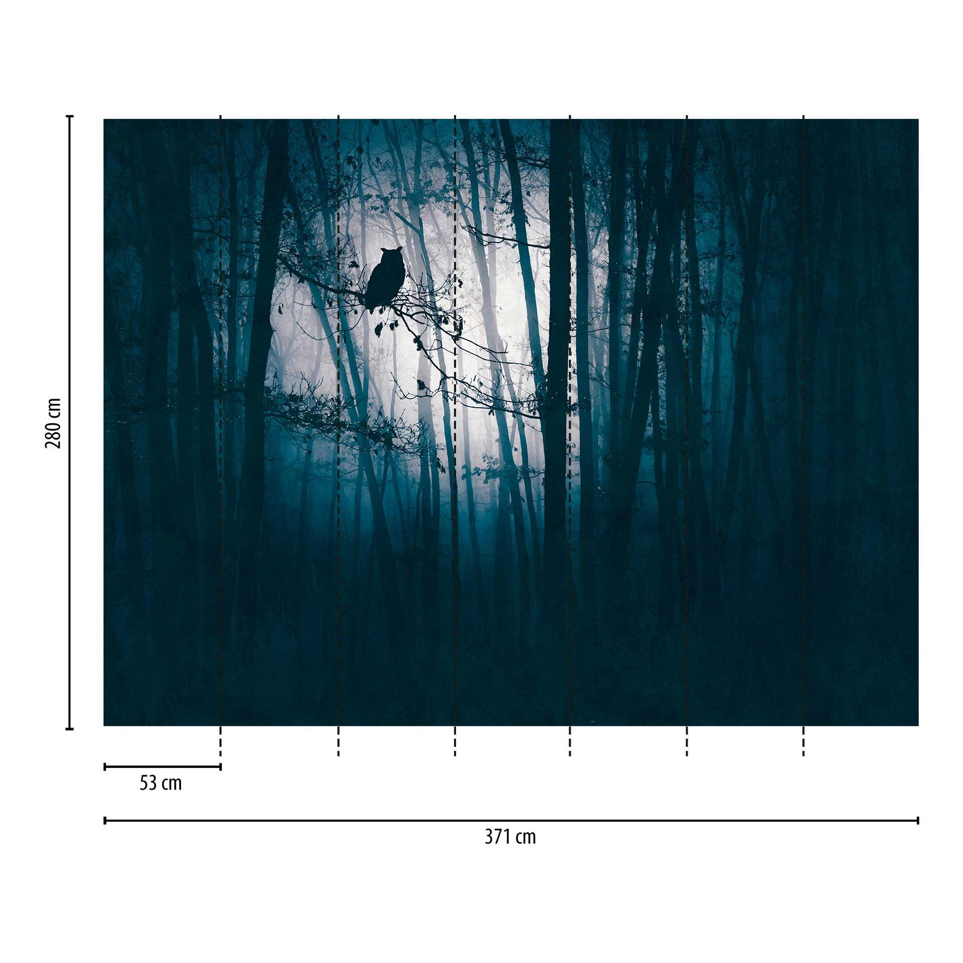 Forest Night Blue Black - vliesbehang met uilenmotief voor woonkamer & slaapkamer