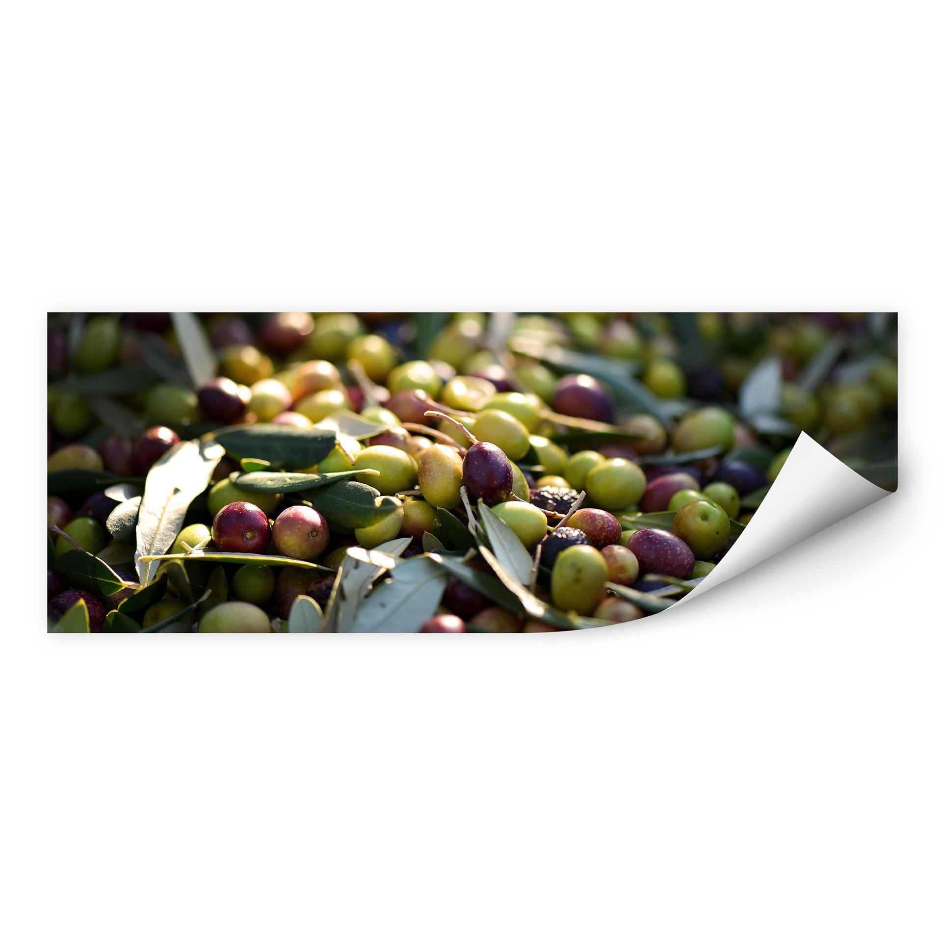Wallprint Mediterrane Oliven - Panorama