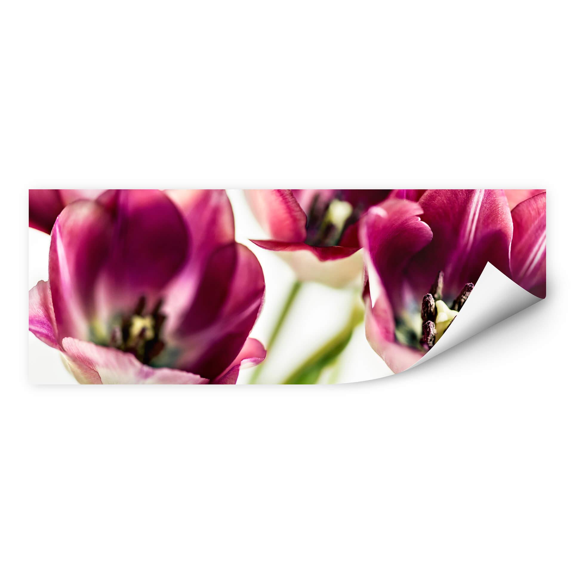 Muurprint Bsmart - Tulips