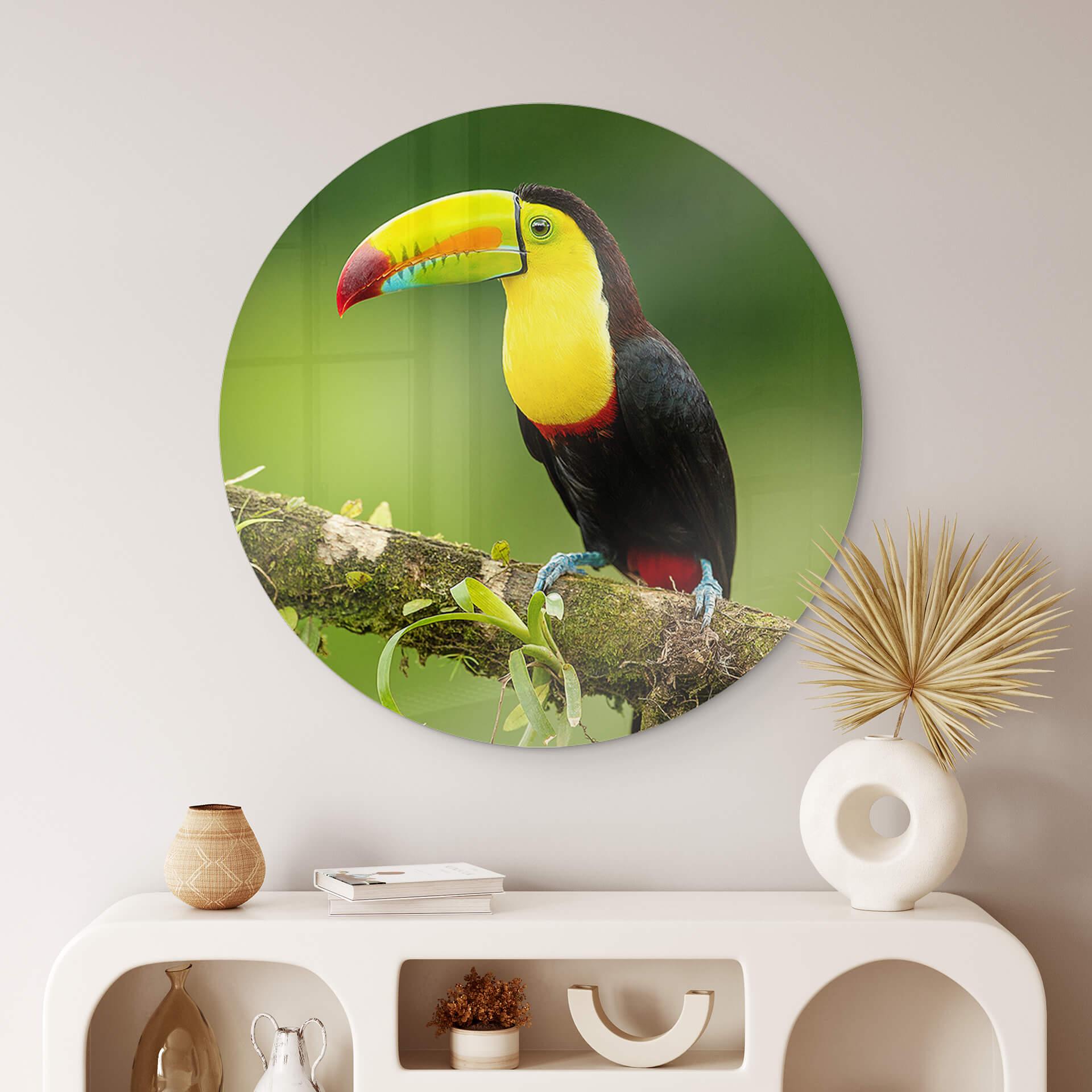 Glasschilderij rond van Duijn - Toekan in Costa Rica