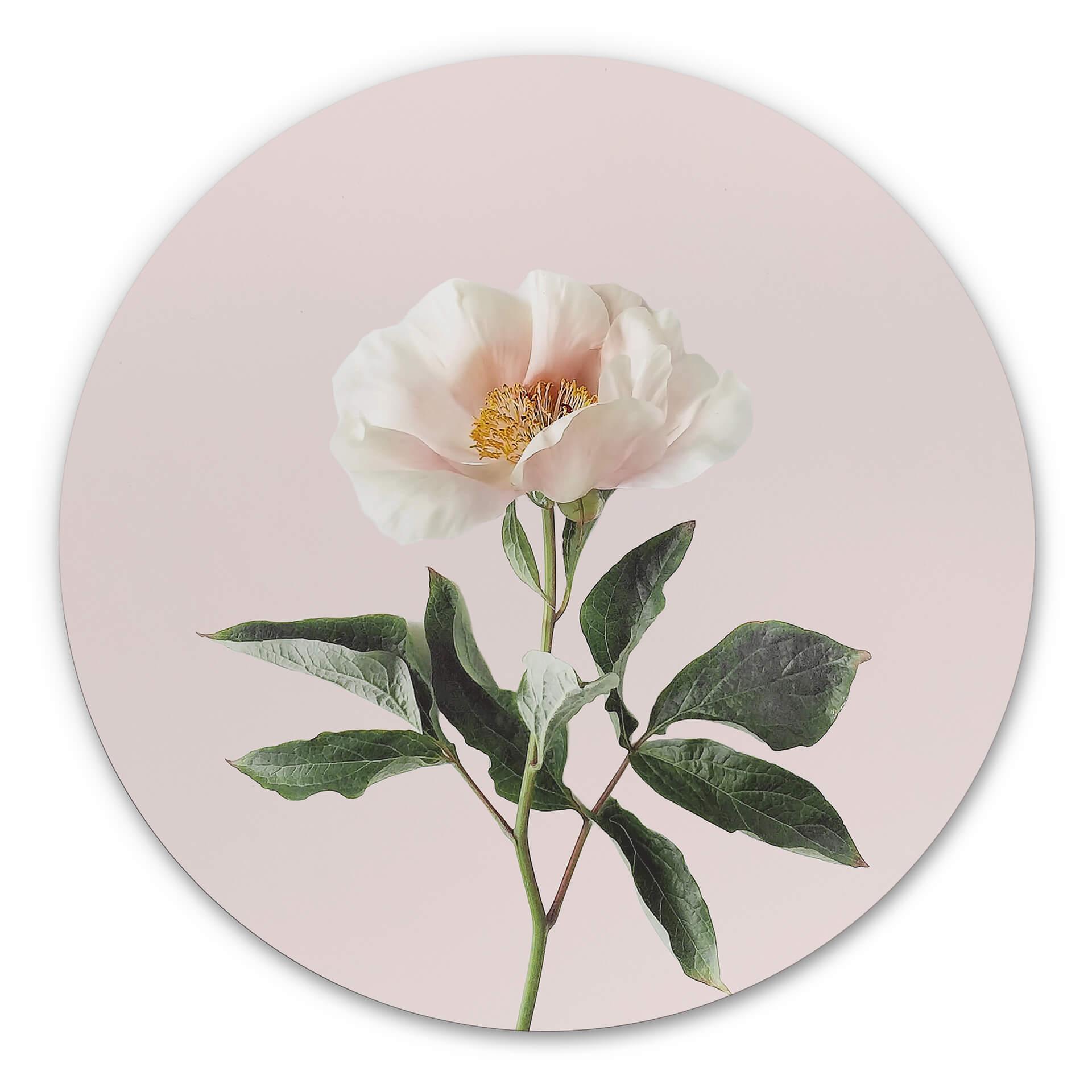 Tableau en alu-Dibond Sisi &Seb - Tendresse - Rond