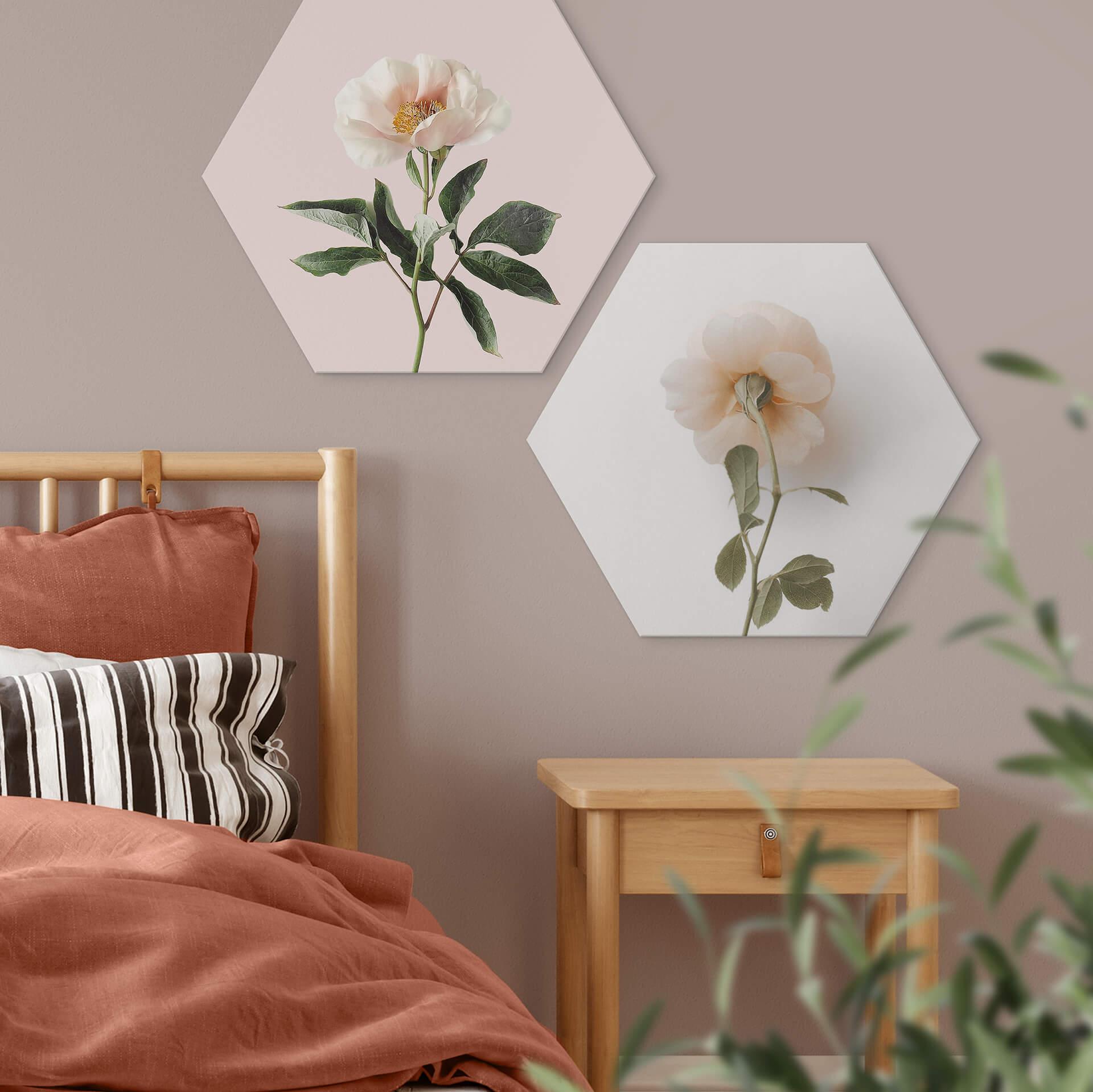 Hexagon Dibond Annie - The Rose
