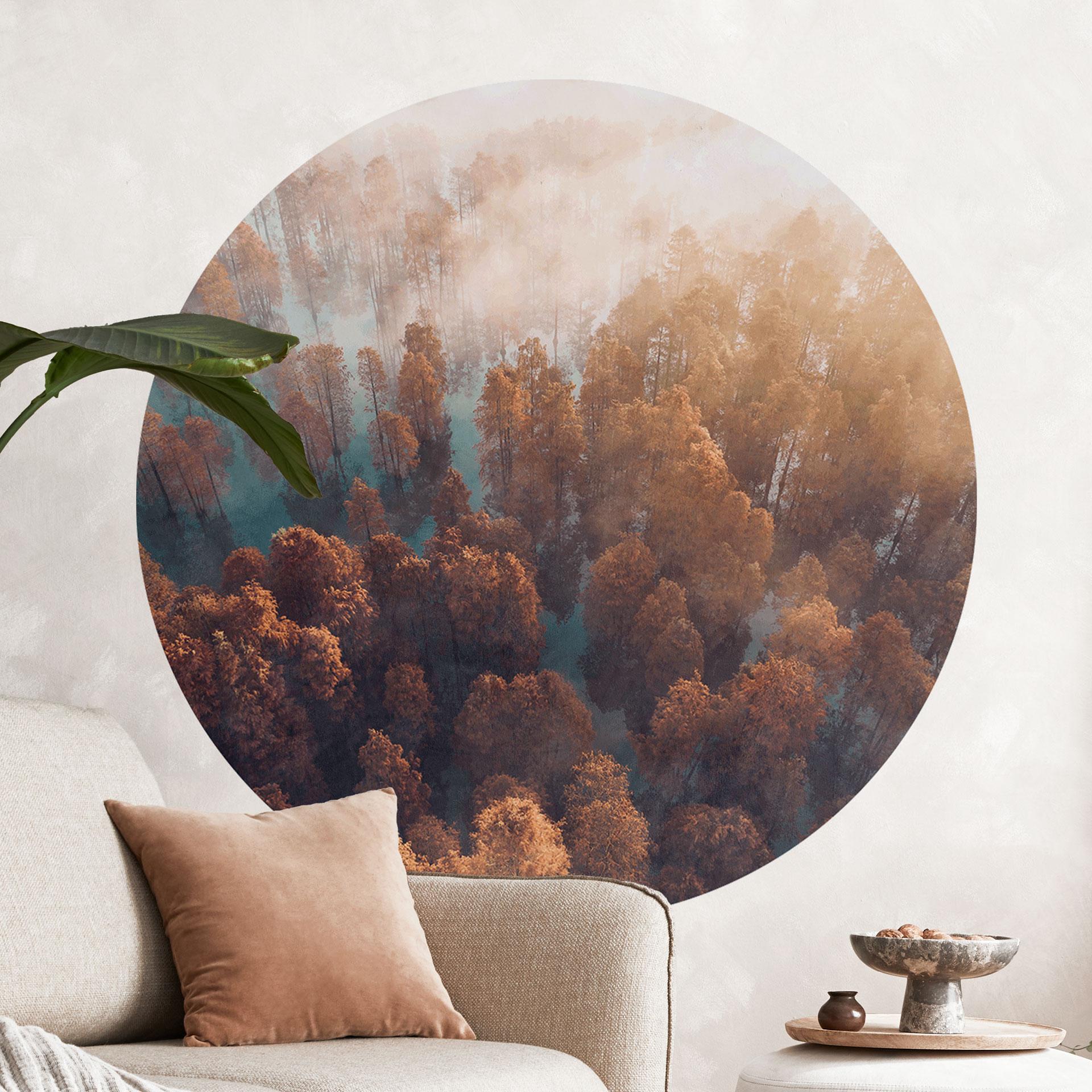 Wall Sticker Efterårsskov i tåge - Ioricon