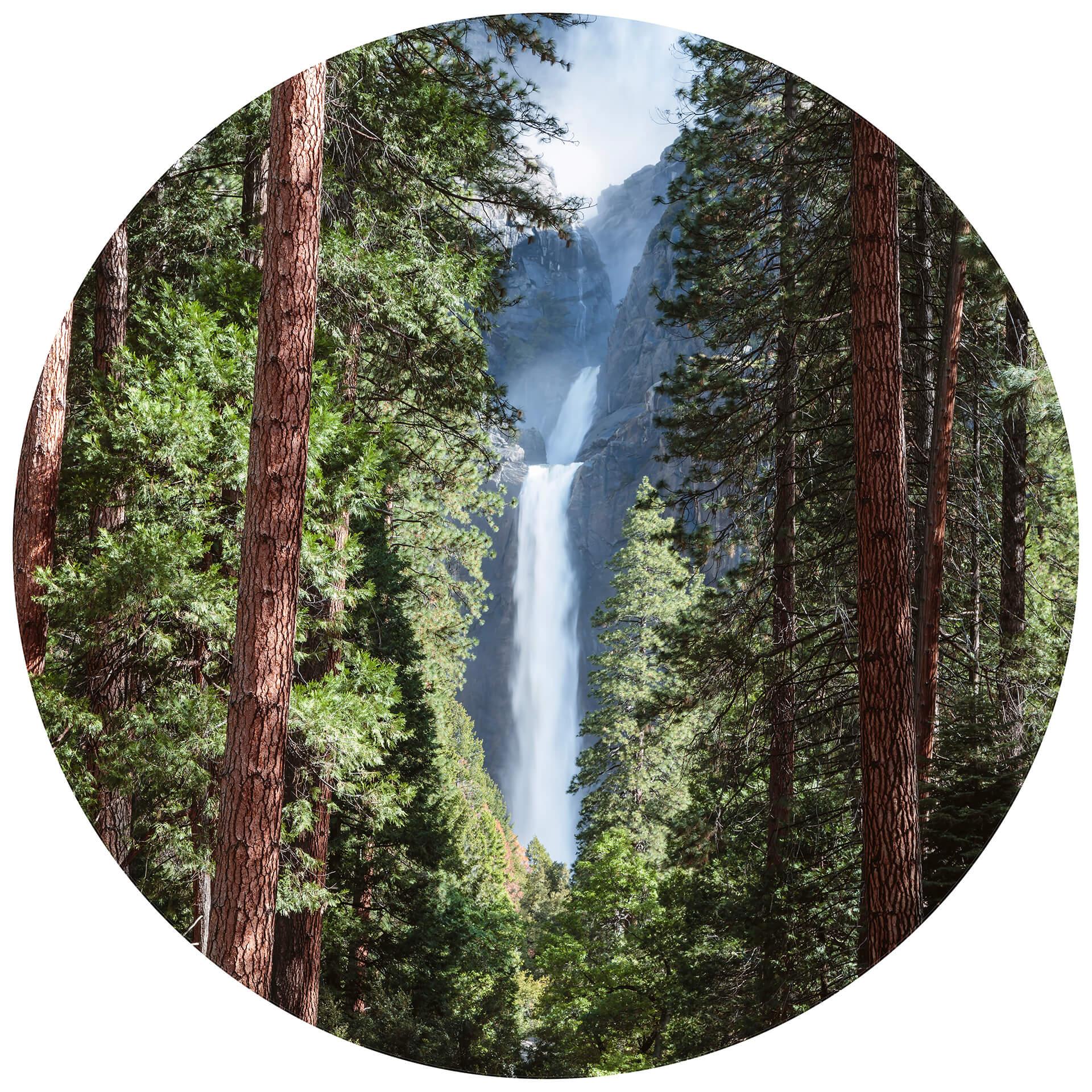 Behangcirkel Colombo - Waterfall Forest - vliesbehang/zelfklevend vliesbehang