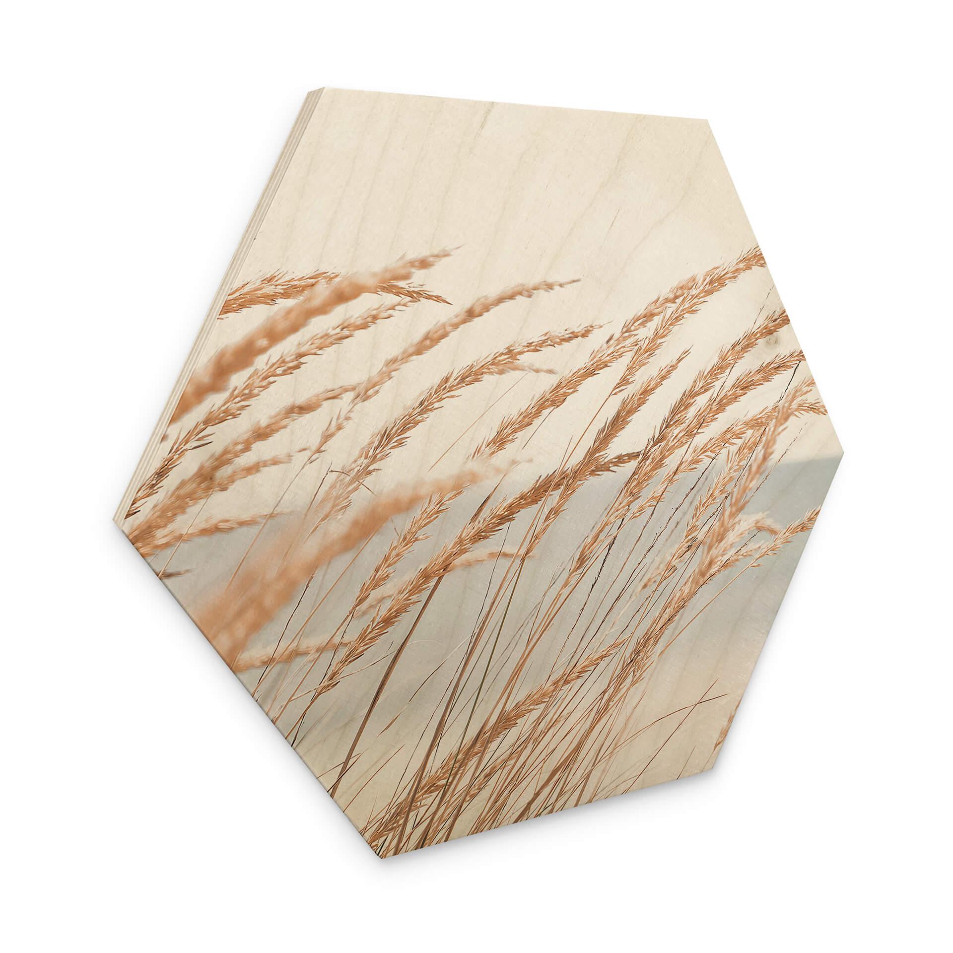 Hexagone - Bois Herbe des dunes