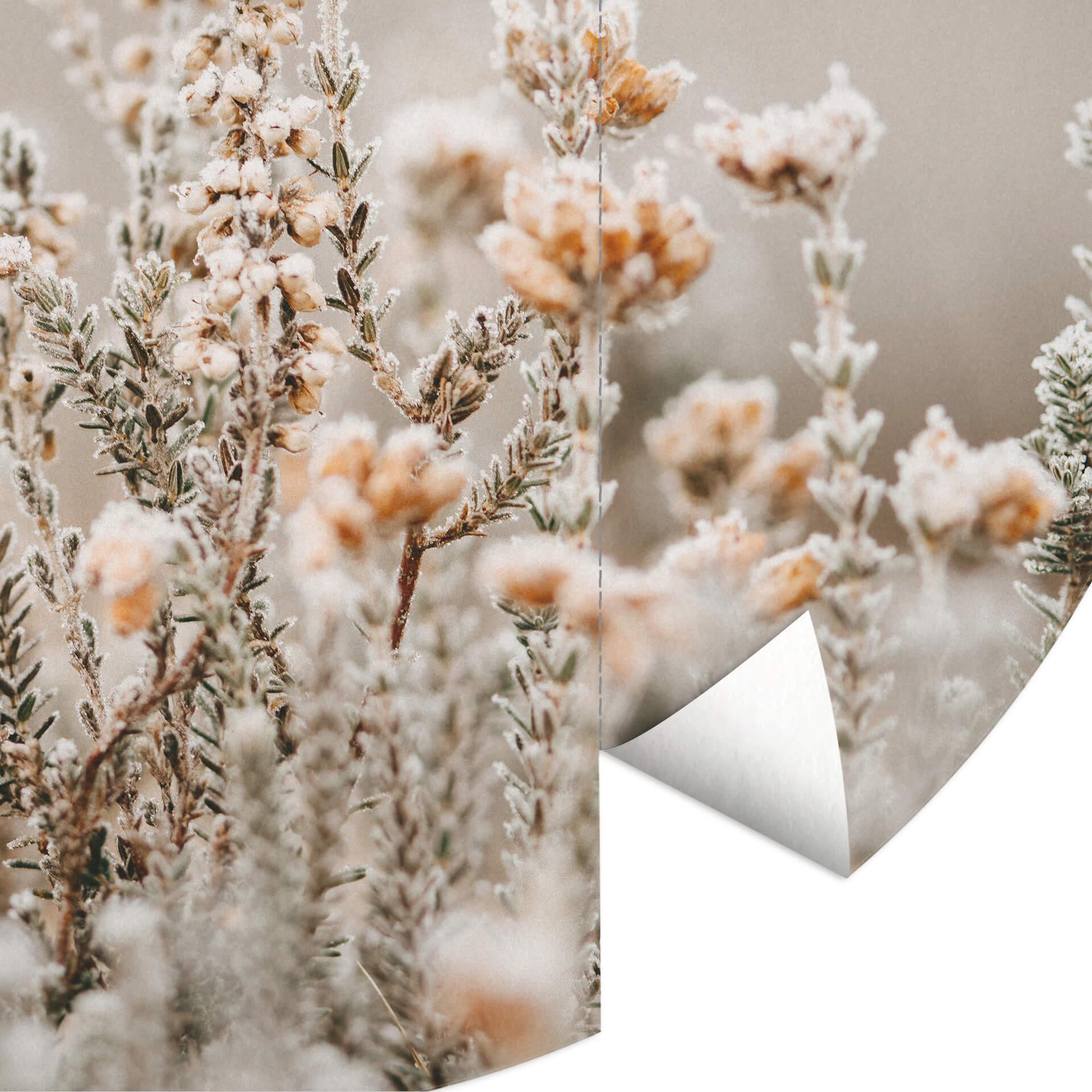 Behangcirkel Annie - Ice Flowers - vliesbehang/zelfklevend vliesbehang
