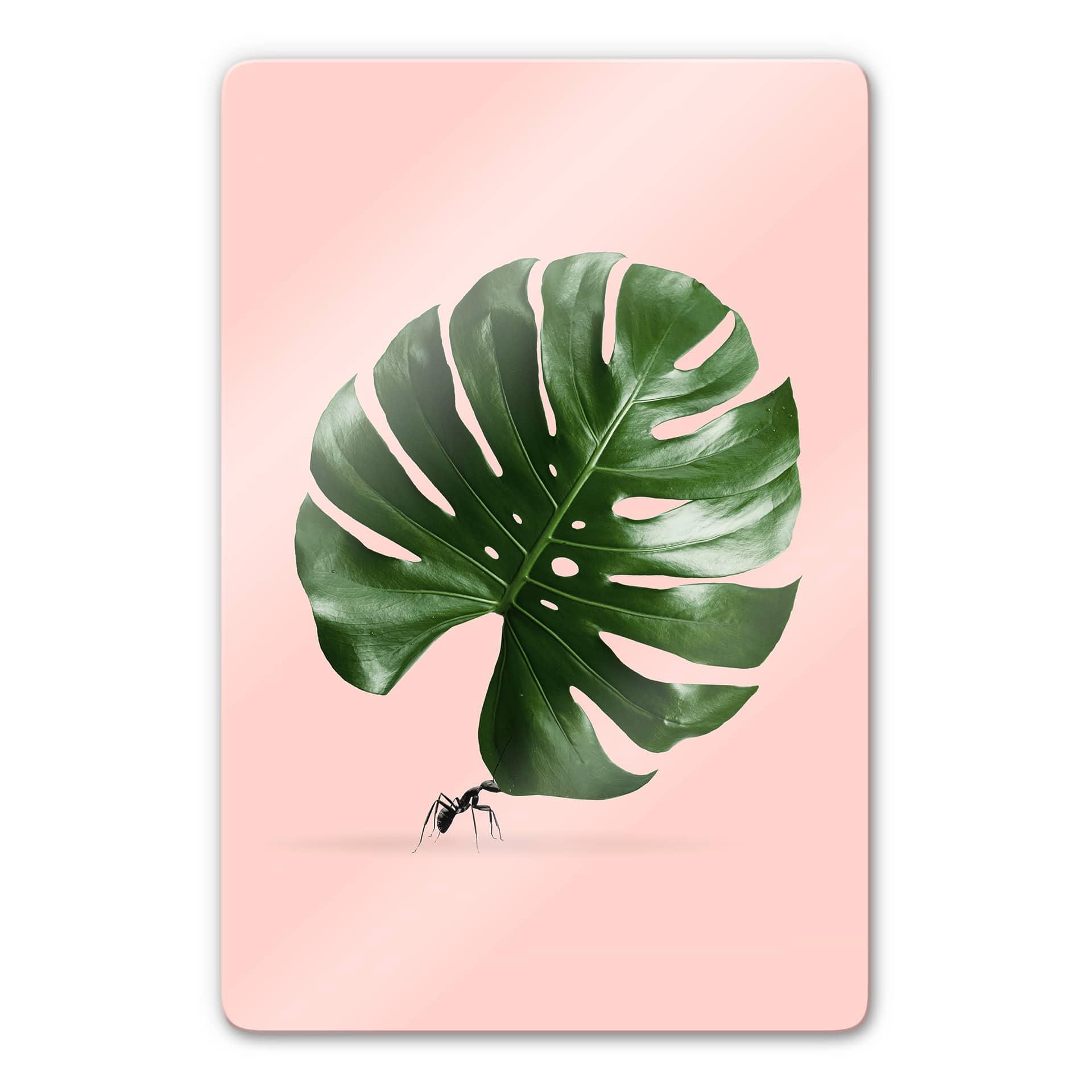 Glasschilderij Loose - Monstera Ant