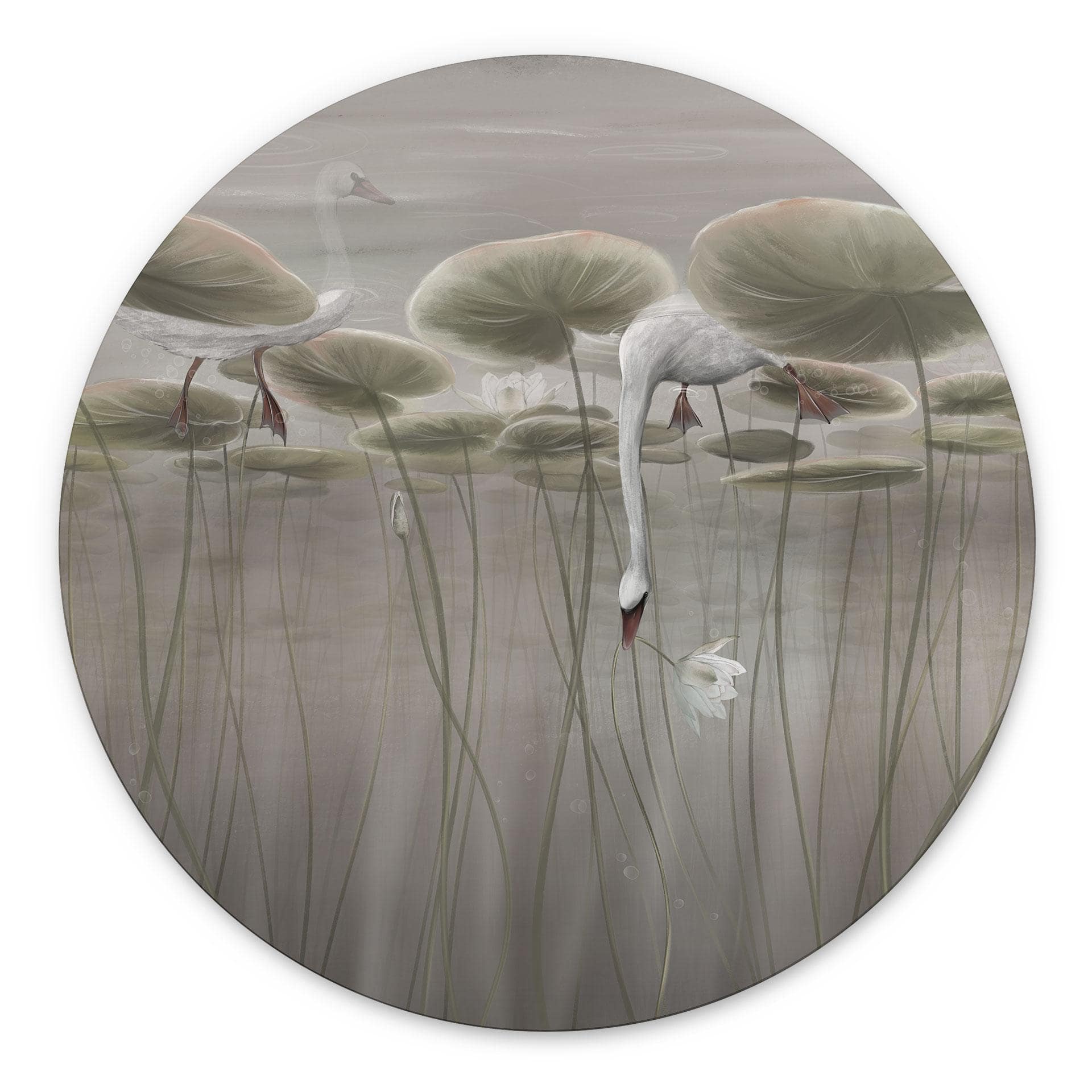 Wanddecoratie Lotusbloemen met zwaan in water in grijs - Ms Tiff - Alu-Dibond Rond