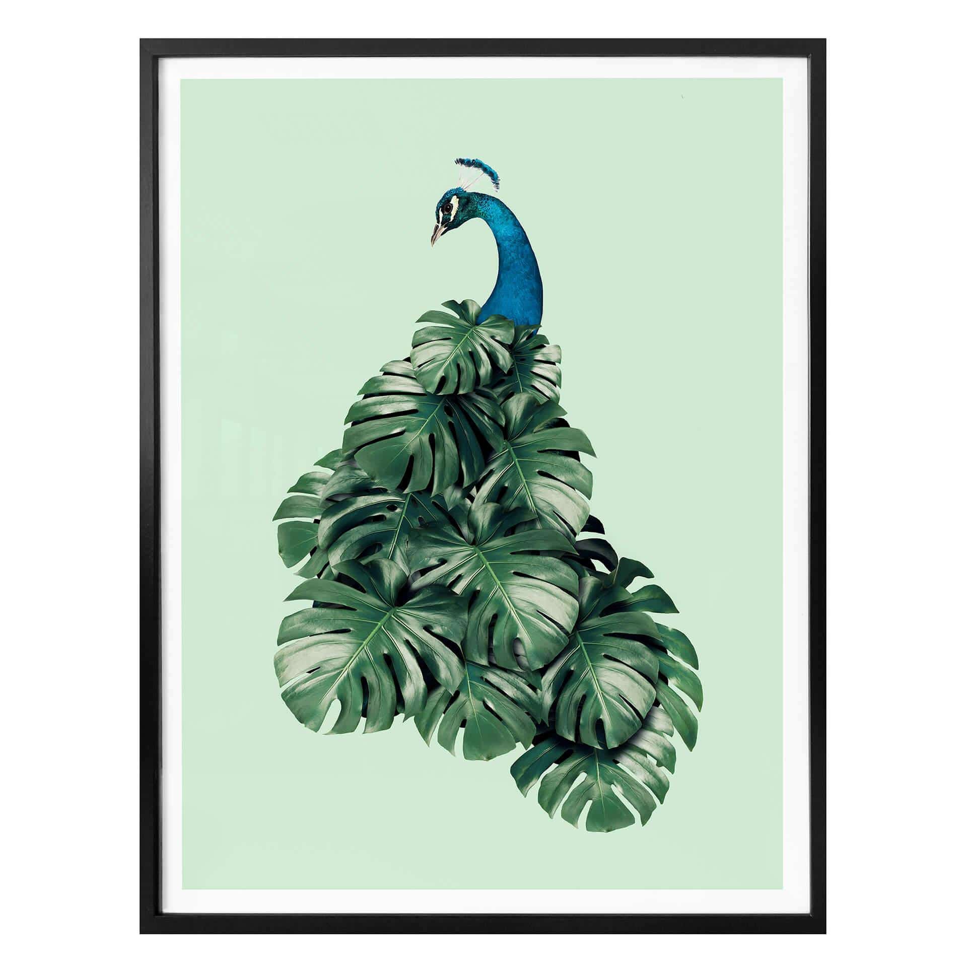 Plakat - Loose - Monstera Bird