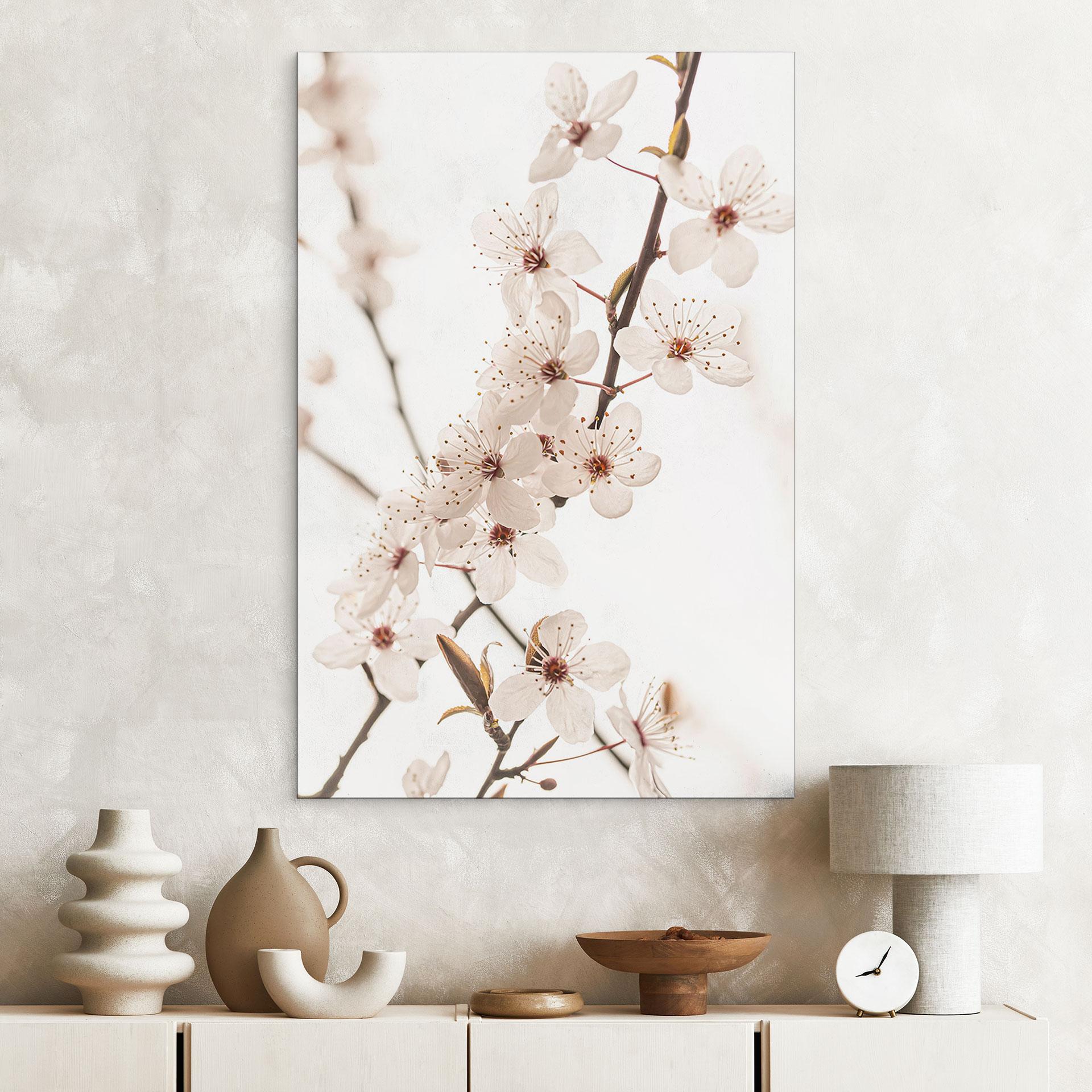 Billede Gren med hvide kirsebærblomster - Sisi & Seb – print på aluminium (Alu-Dibond)