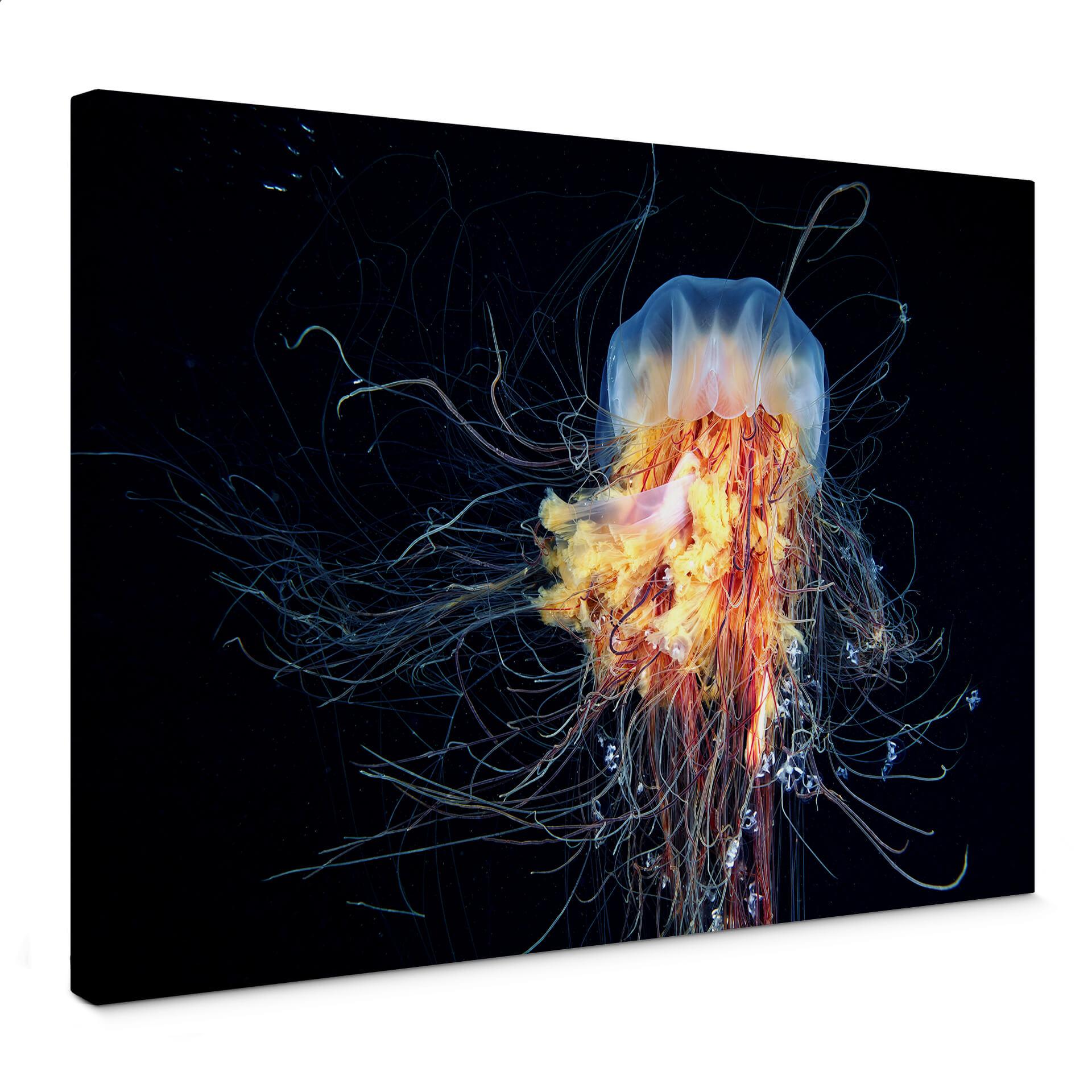Canvasbillede - Semenov - Amazing Jellyfish