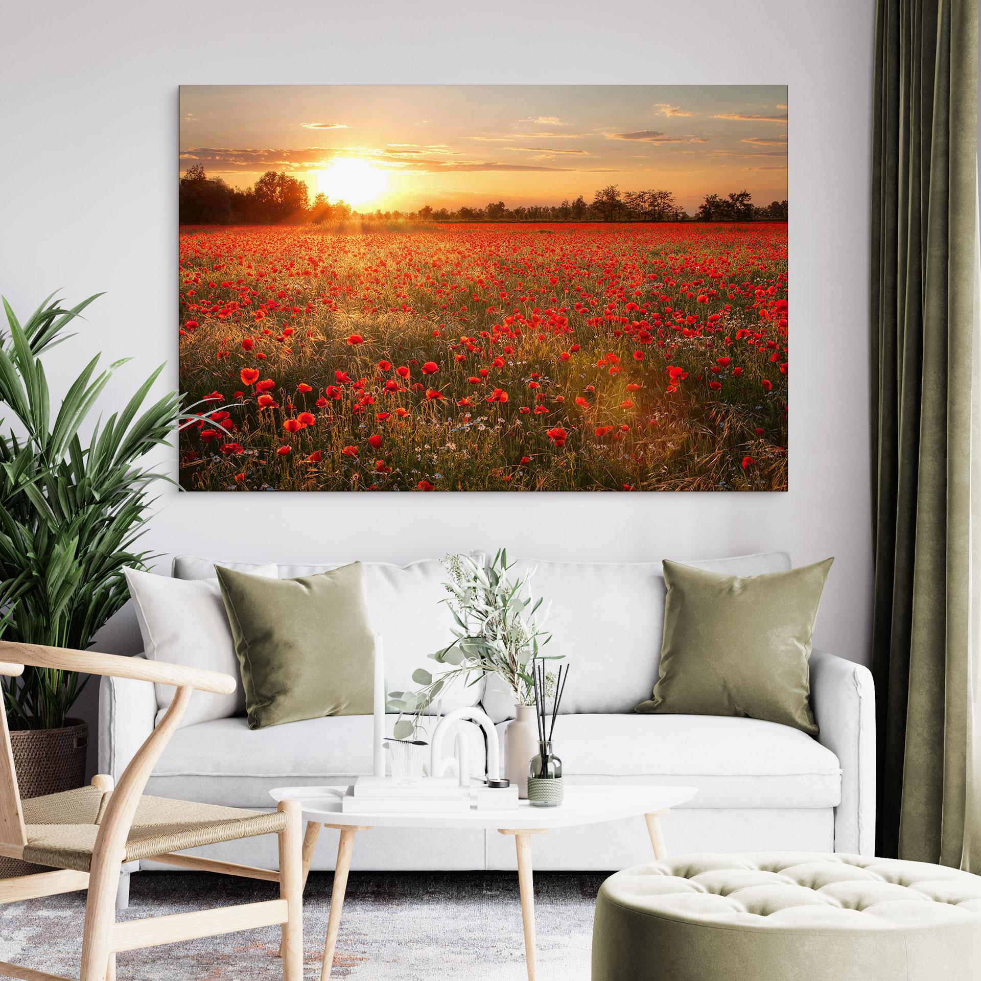 Wandbild Mohnfeld im Sonnenuntergang - Alu-Dibond