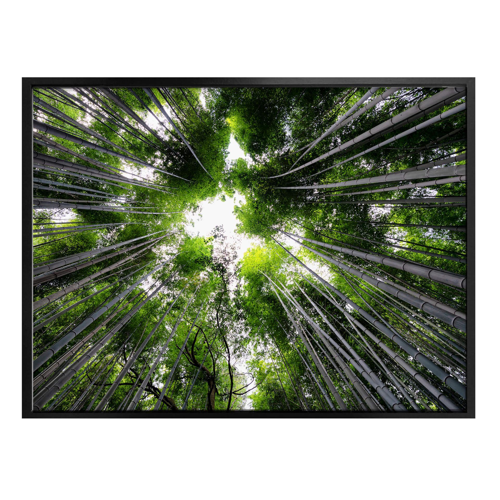 Plakat - Hugonnard - Skov i Japan