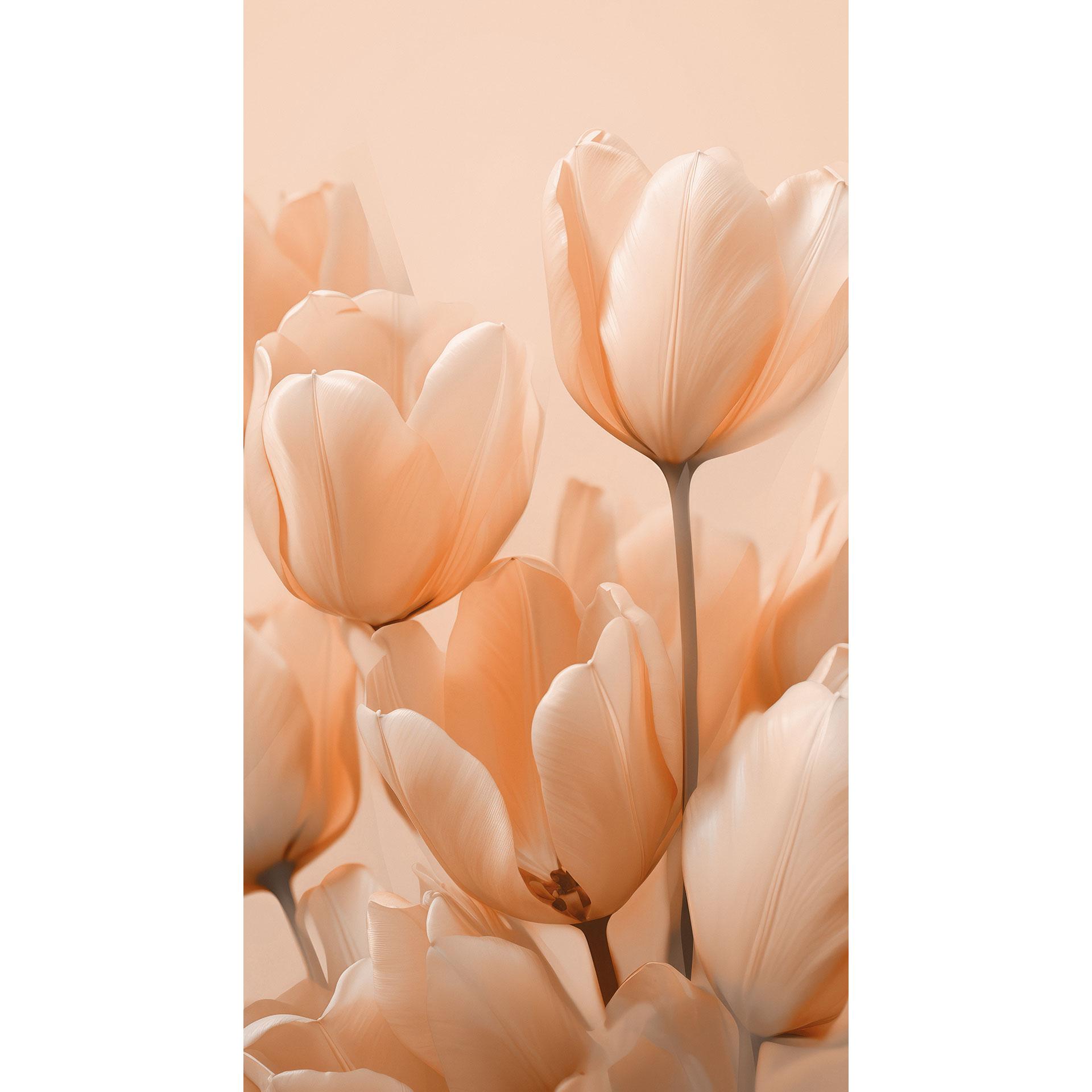 Fotobehang Peach-kleurige tulpen - Treechild