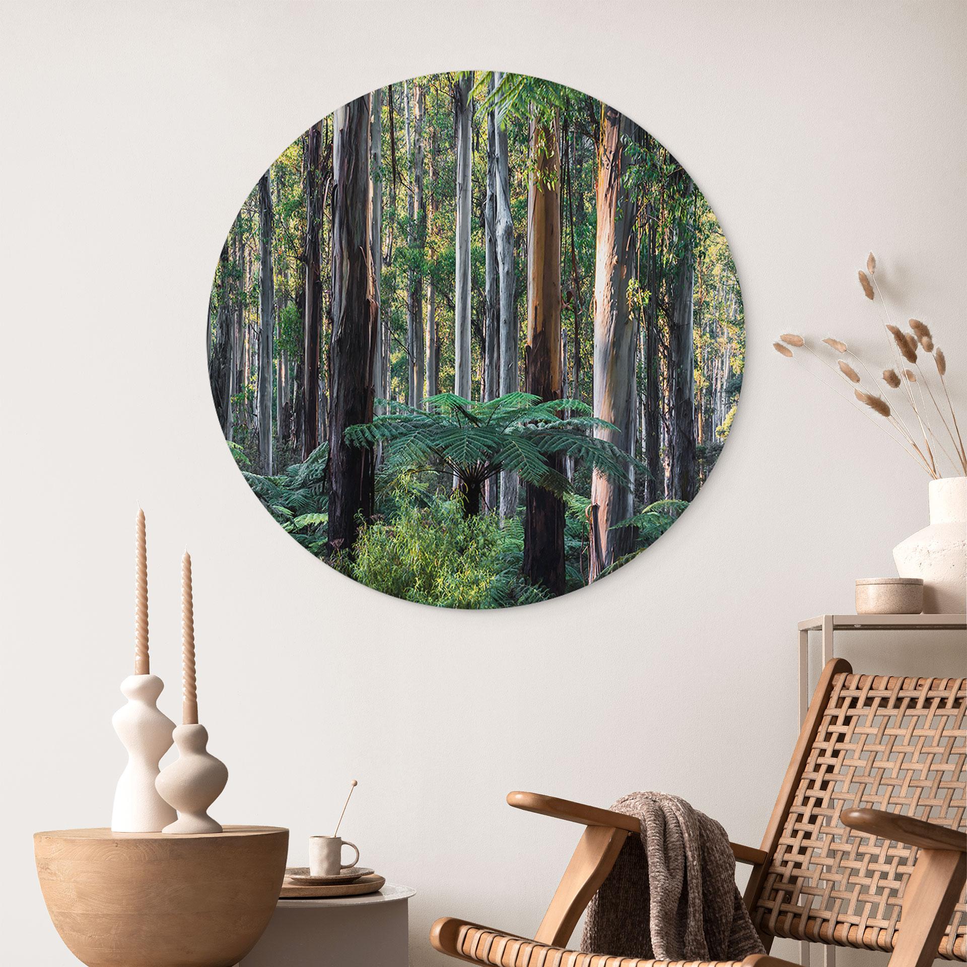 Billede af eukalyptusskov i Yarra Ranges - Colombo - rund – print på aluminium (Alu-Dibond)