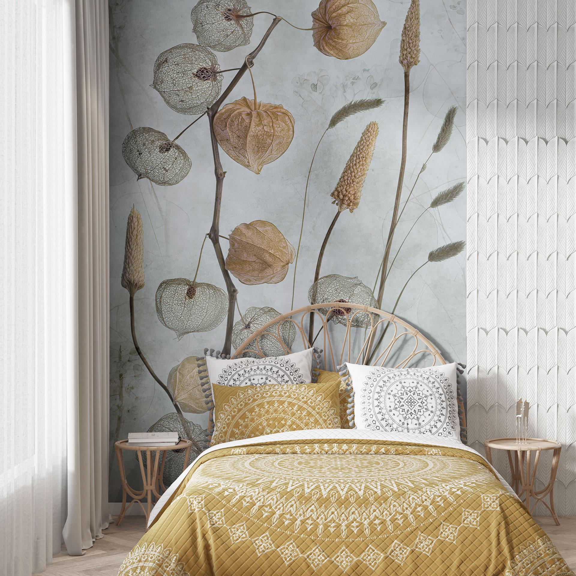 Fototapet Tørrede lanterneblomster - Disher