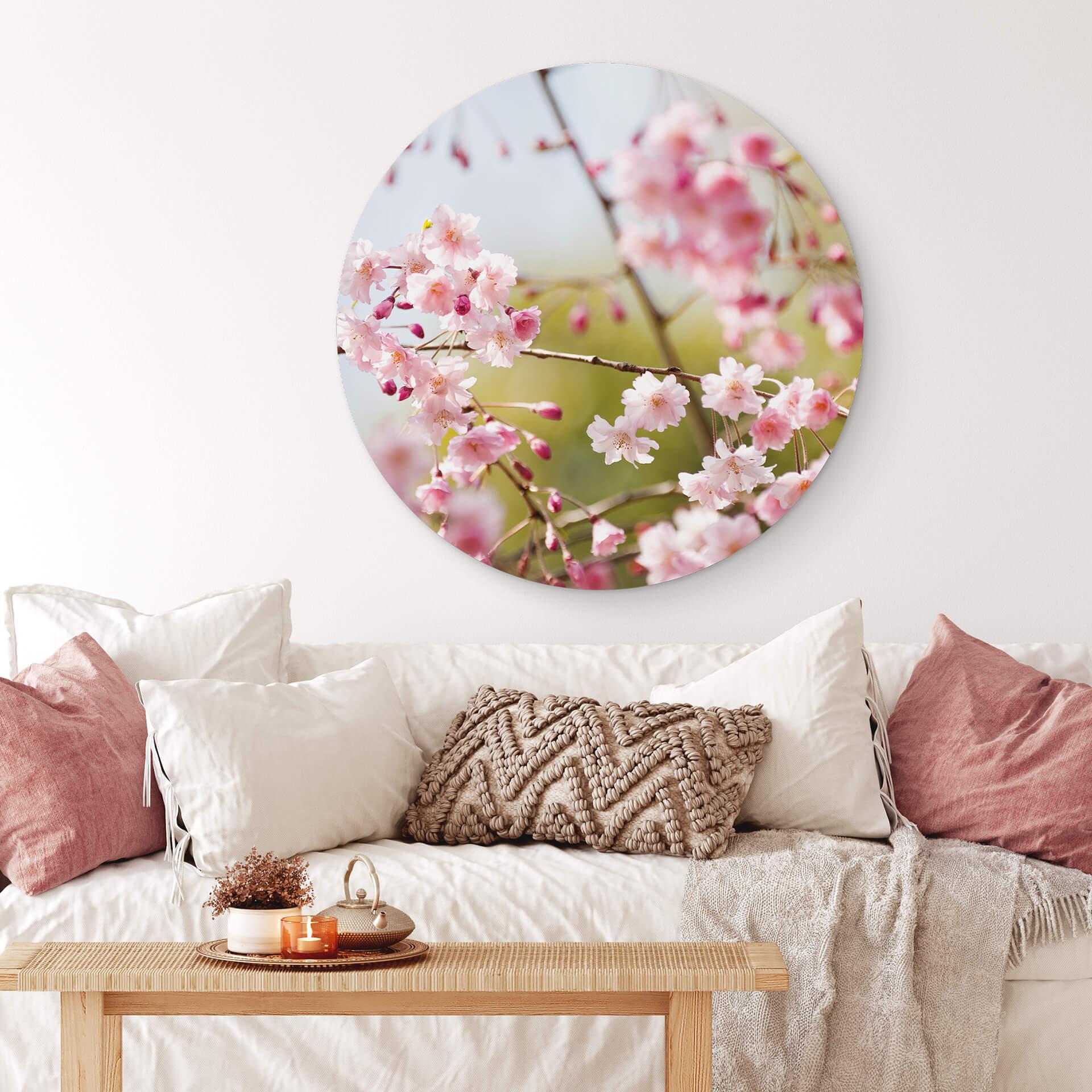 Wandcirkel Cherry Blossom